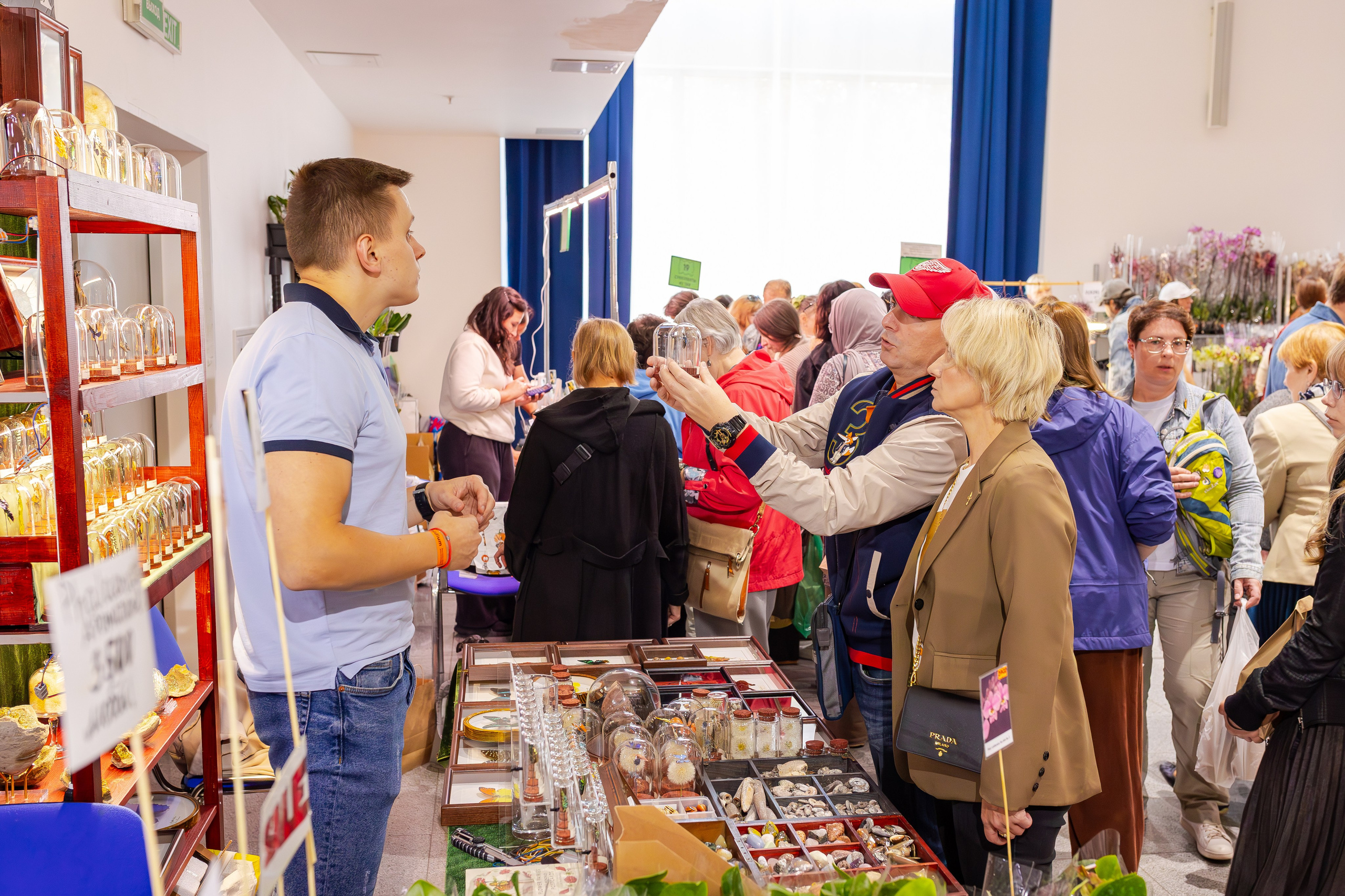 Орхидиум сентябрь 2025. Александра Куликова фотограф, Москва