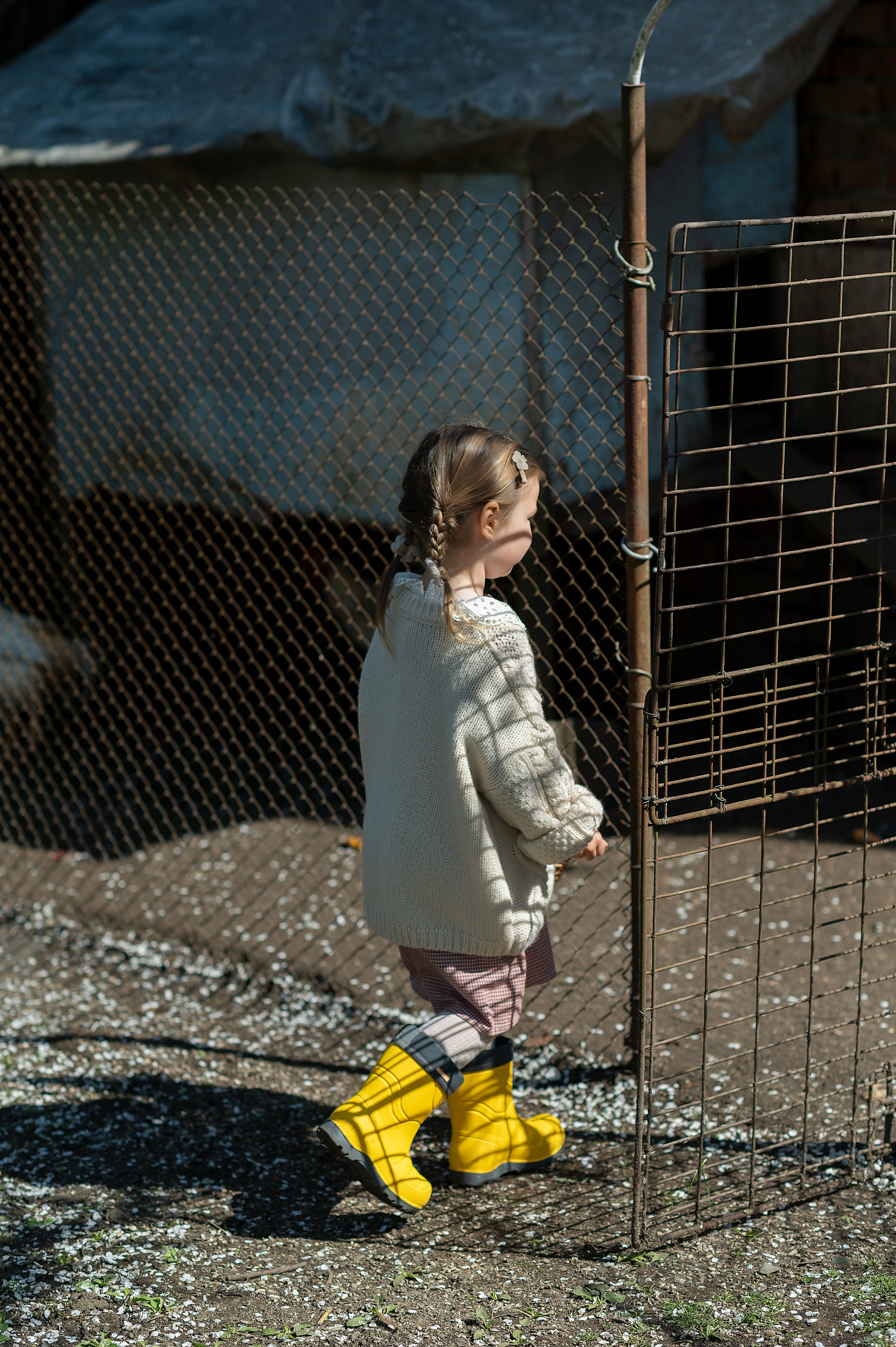 Курочки. Детский фотограф Абхазия