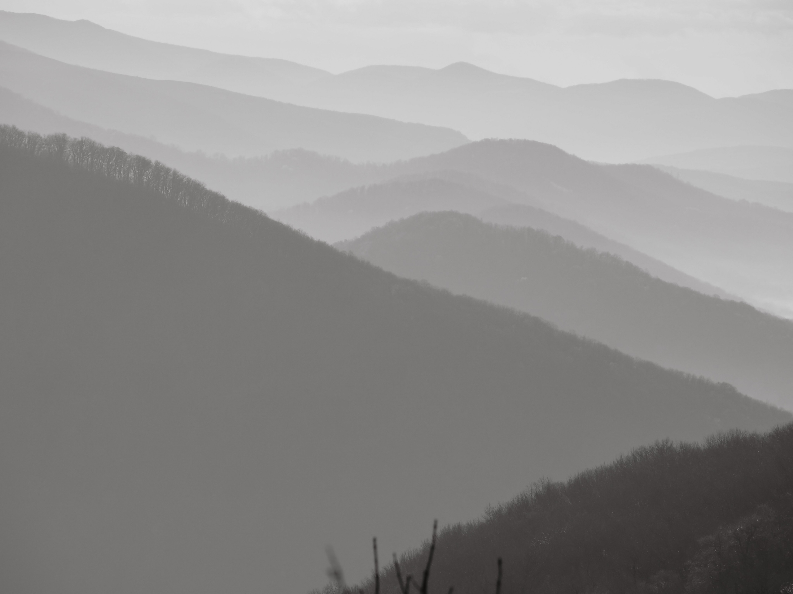 Градиенты. Репортажный фотограф в Берлине Александра Герман