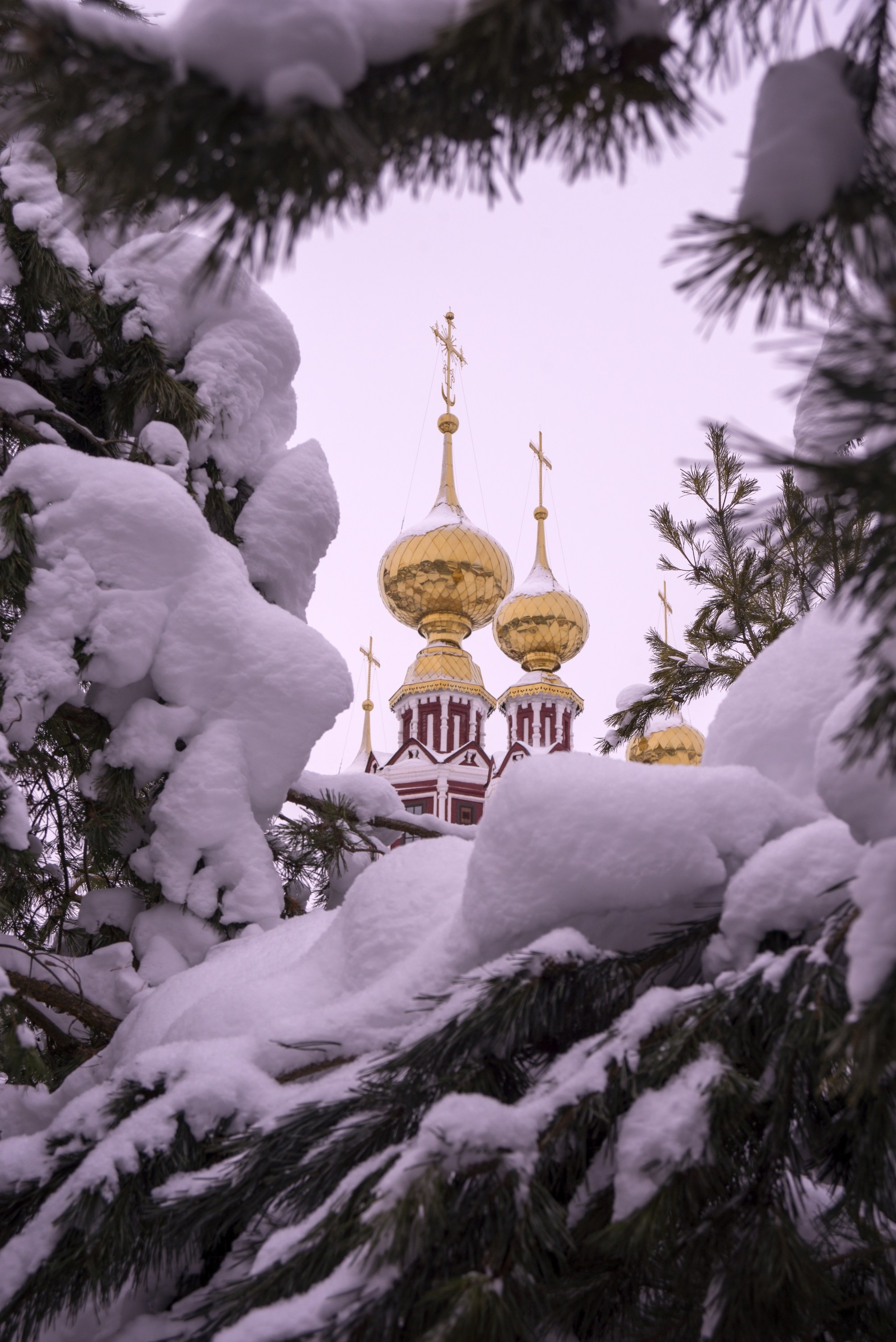 Суздаль. Январь 2022. Игорь Жучков. Россия увиденная глазами путешествующего фотографа