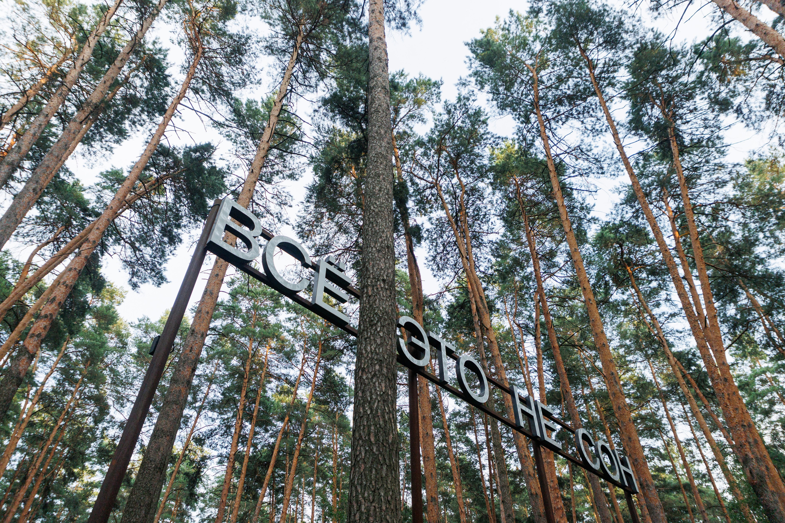 ПечаКуча 12-8-25. Фотограф городских и семейных событий Артем Карпухин