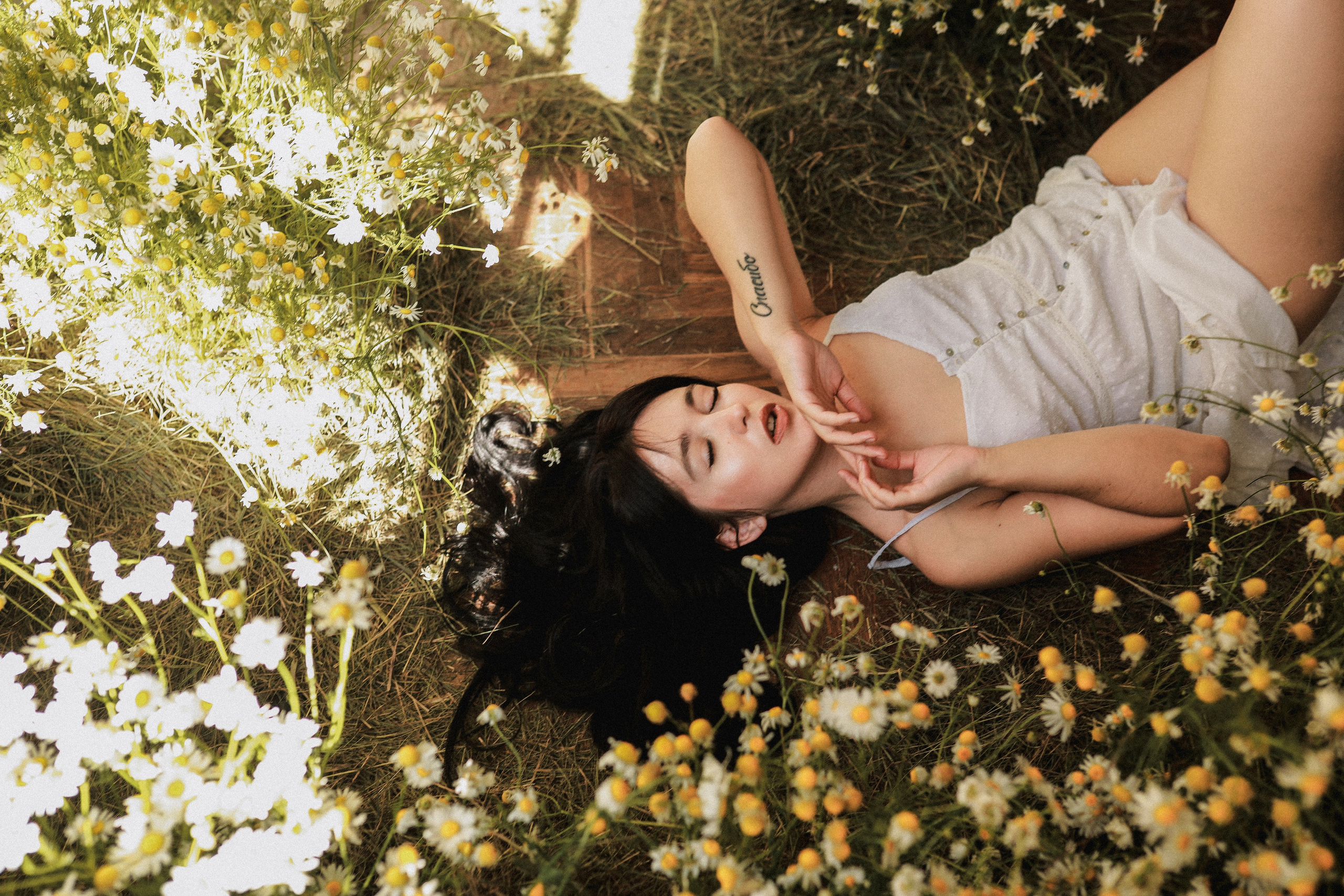 Сон в летнюю ночь | Ромашковое поле