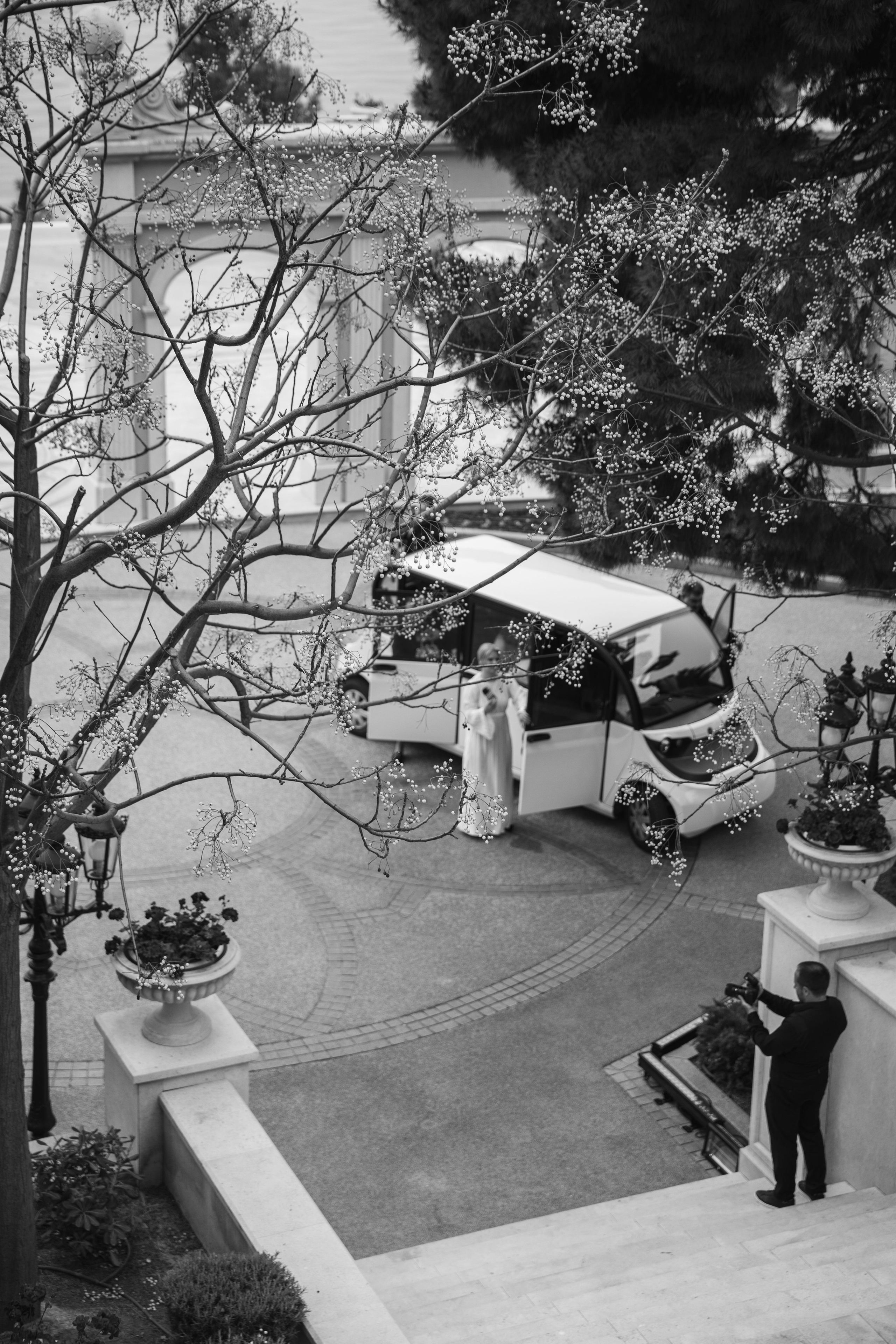 Нимфея (званый ужин для организаторов). Свадебный и семейный фотограф в Севастополе и Крыму Анастасия Сураева