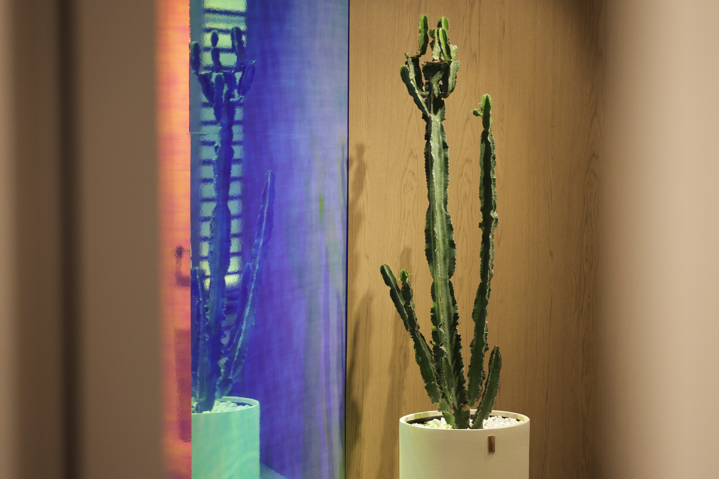 /РЕПОРТАЖ/ Выставка МосБилд. 2024. Свадебный фотограф Великий Новгород Станислав Кособудский