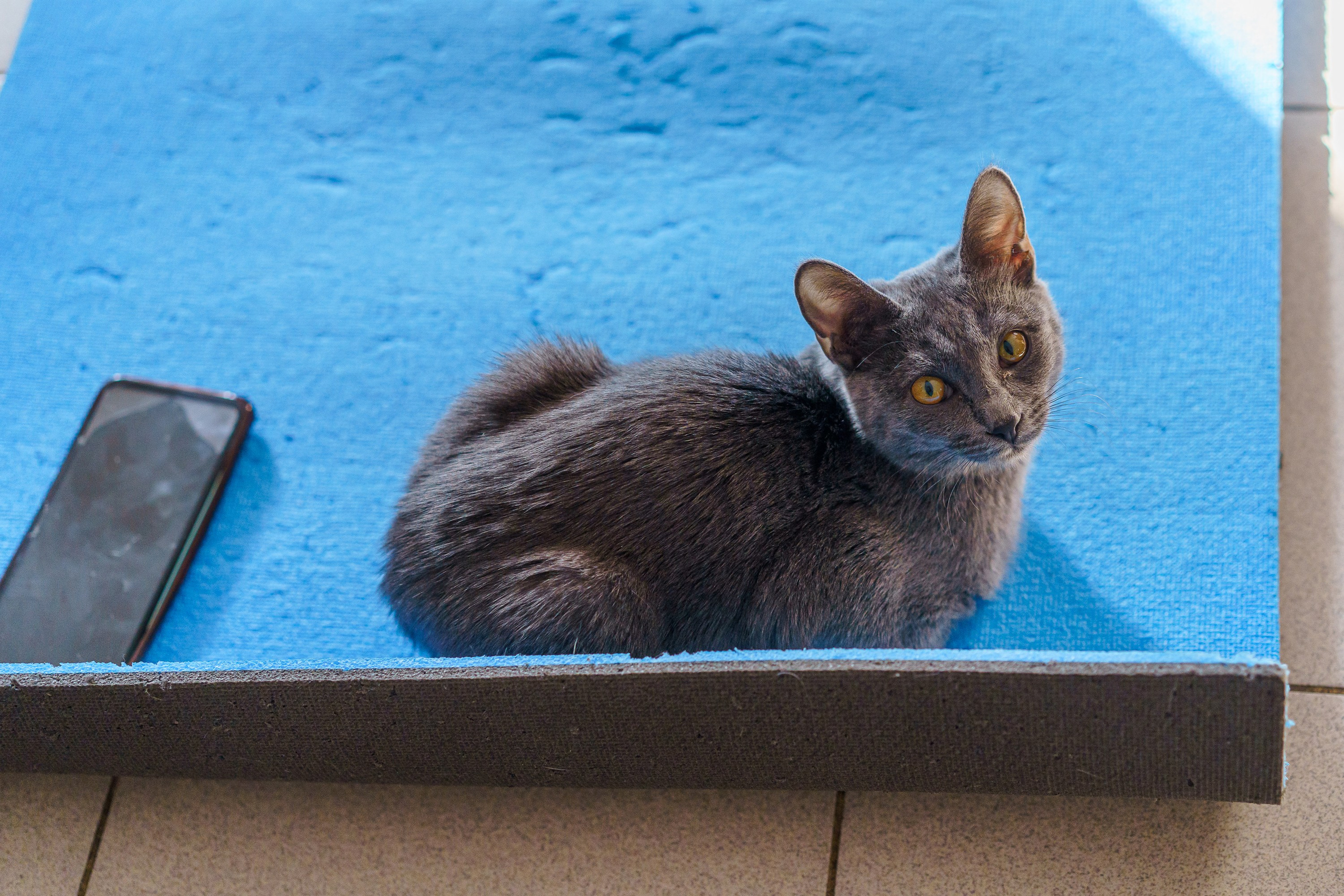 КОТОЙОГА. Фотограф Челябинск · Ольга Серебрякова