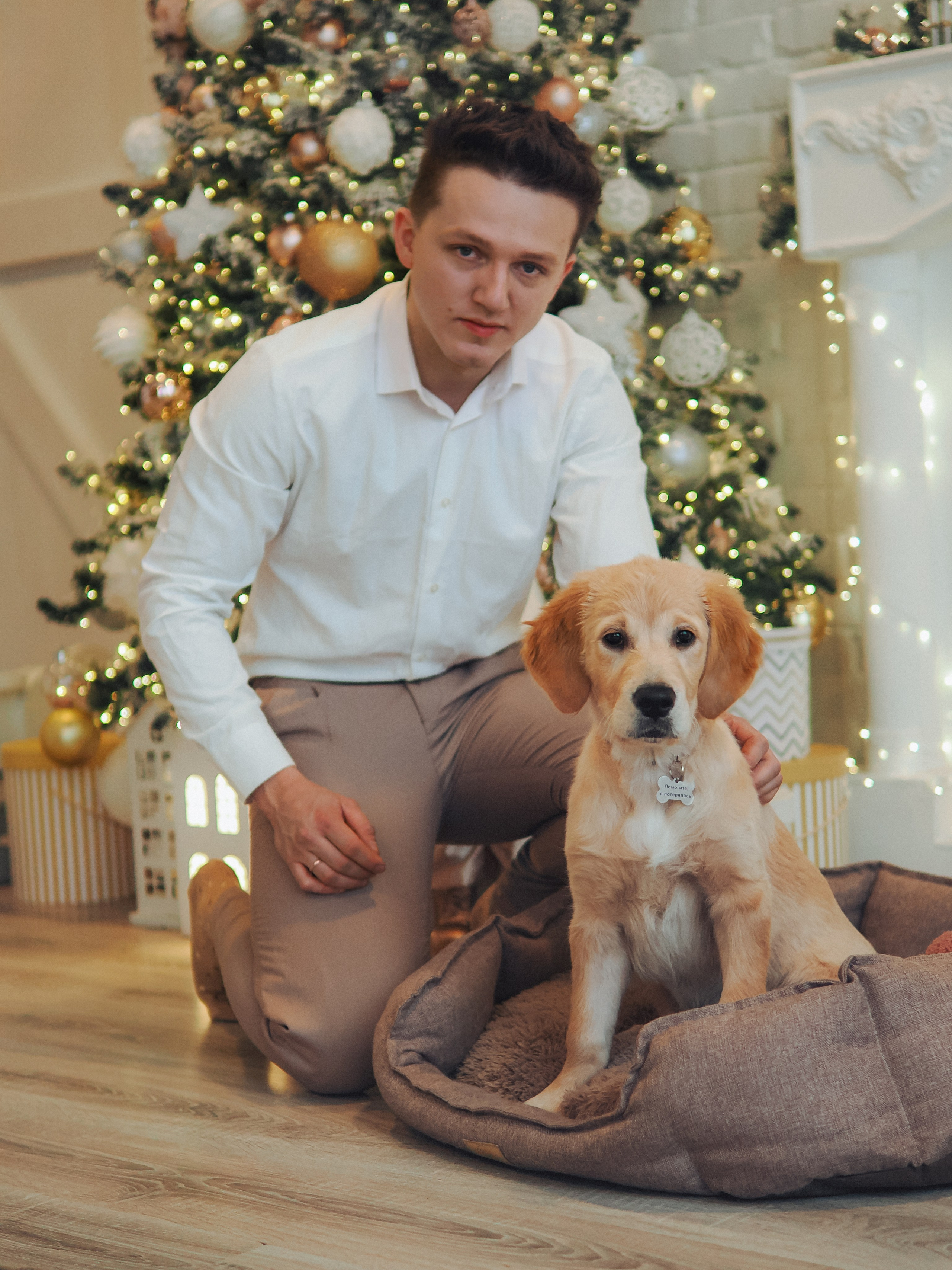 Малышка Молли и новый год. Фотограф в Москве — Сергей Люкшинов
