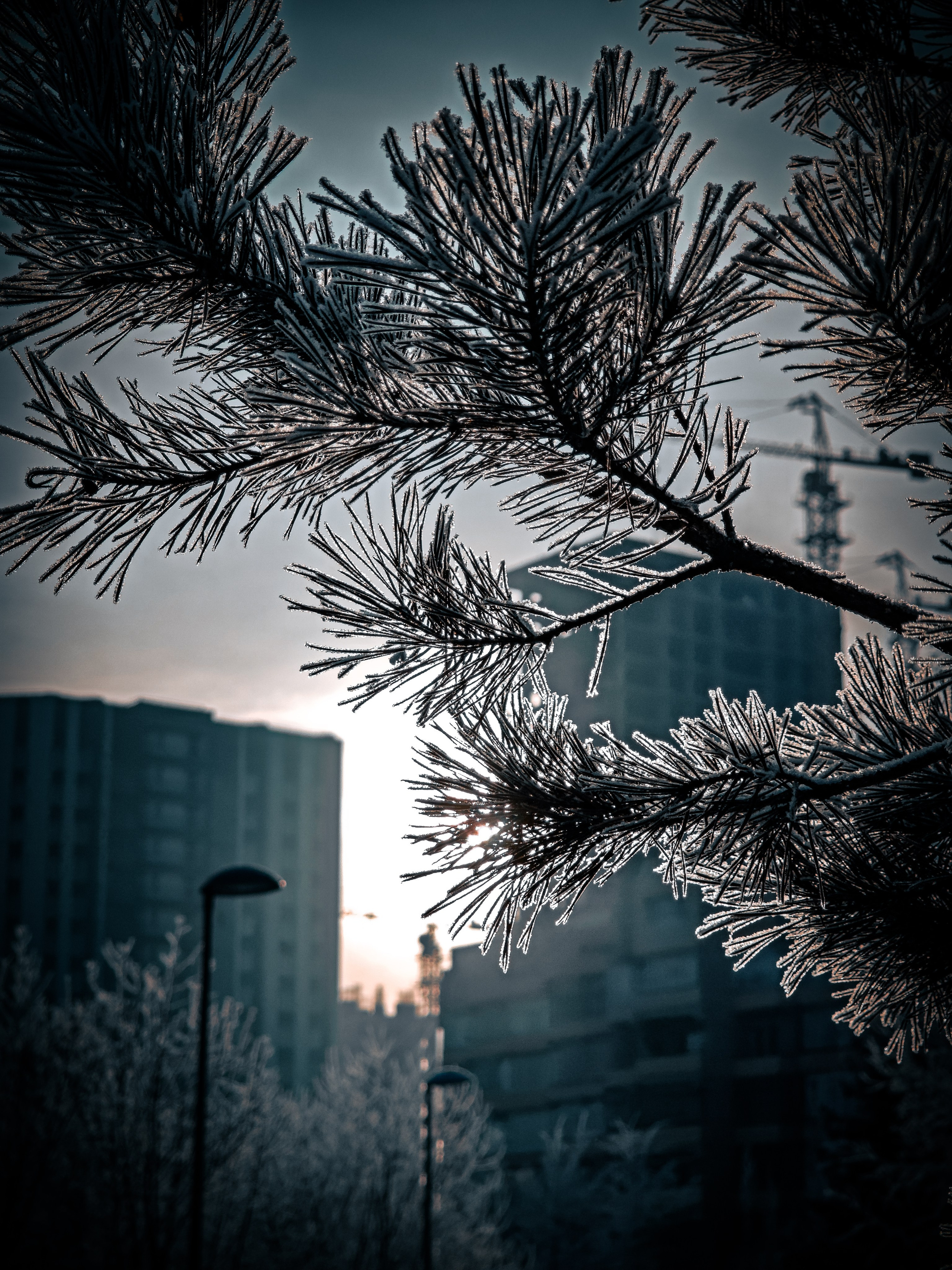 Скоро лето. Игорь Урывский. Фотограф Красноярск