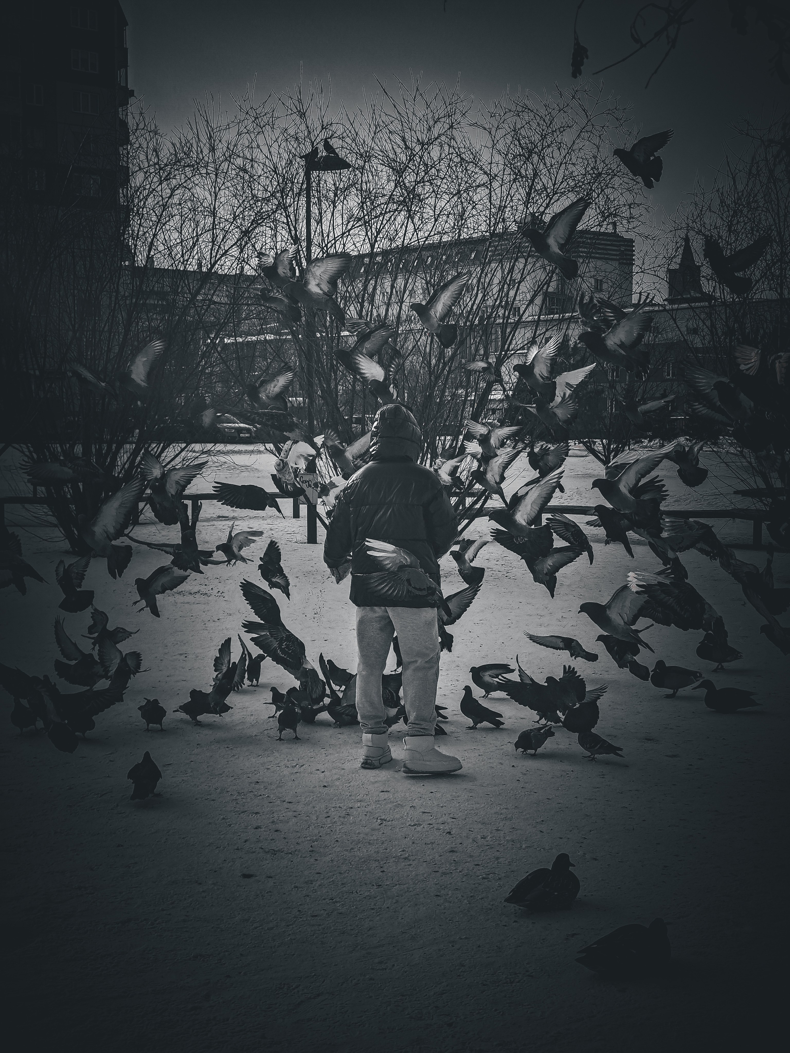 Birds. Игорь Урывский. Фотограф Красноярск