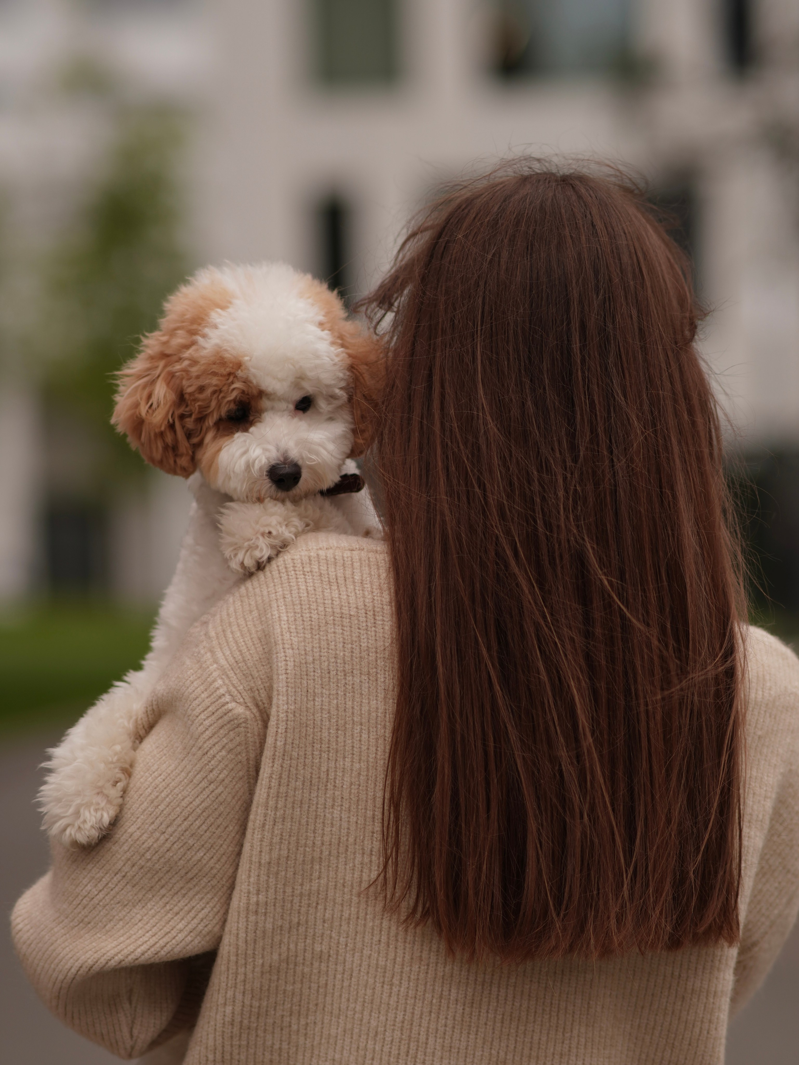 Love story. Главная