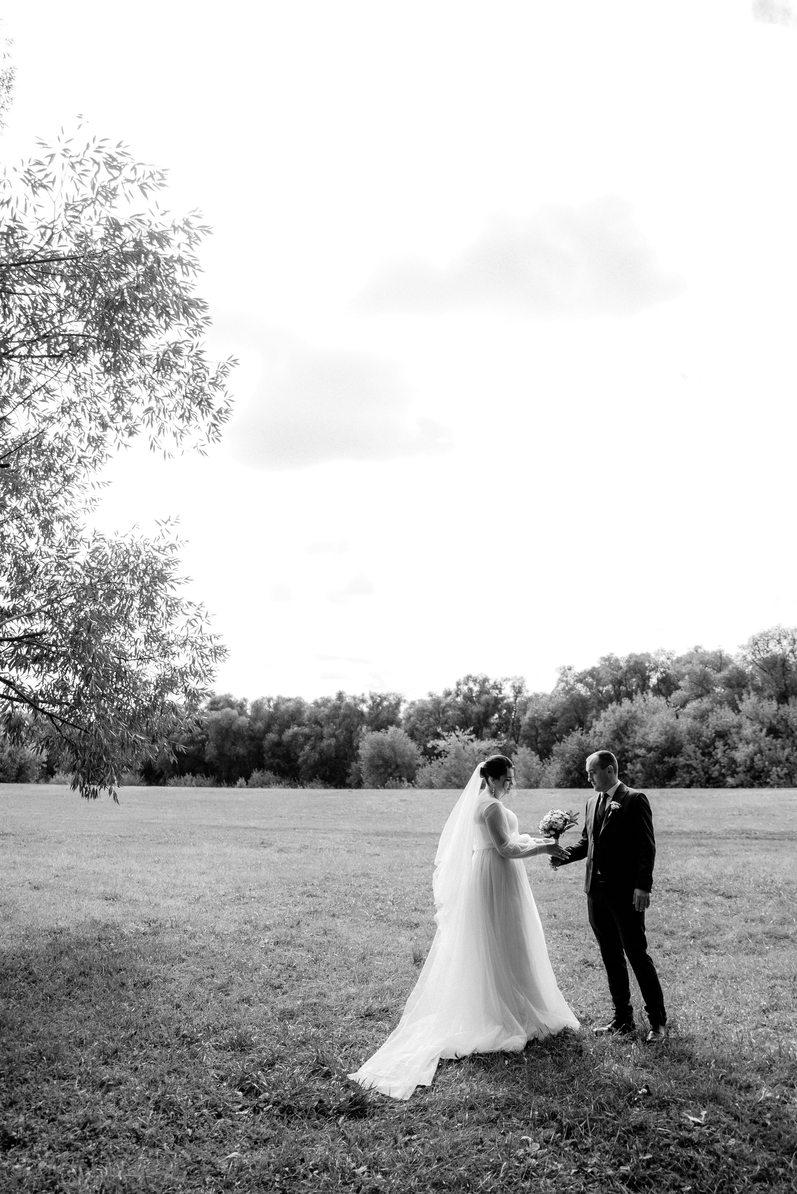 Ирина и Владимир. Свадебный фотограф, фотограф беременности Дарья Доценко