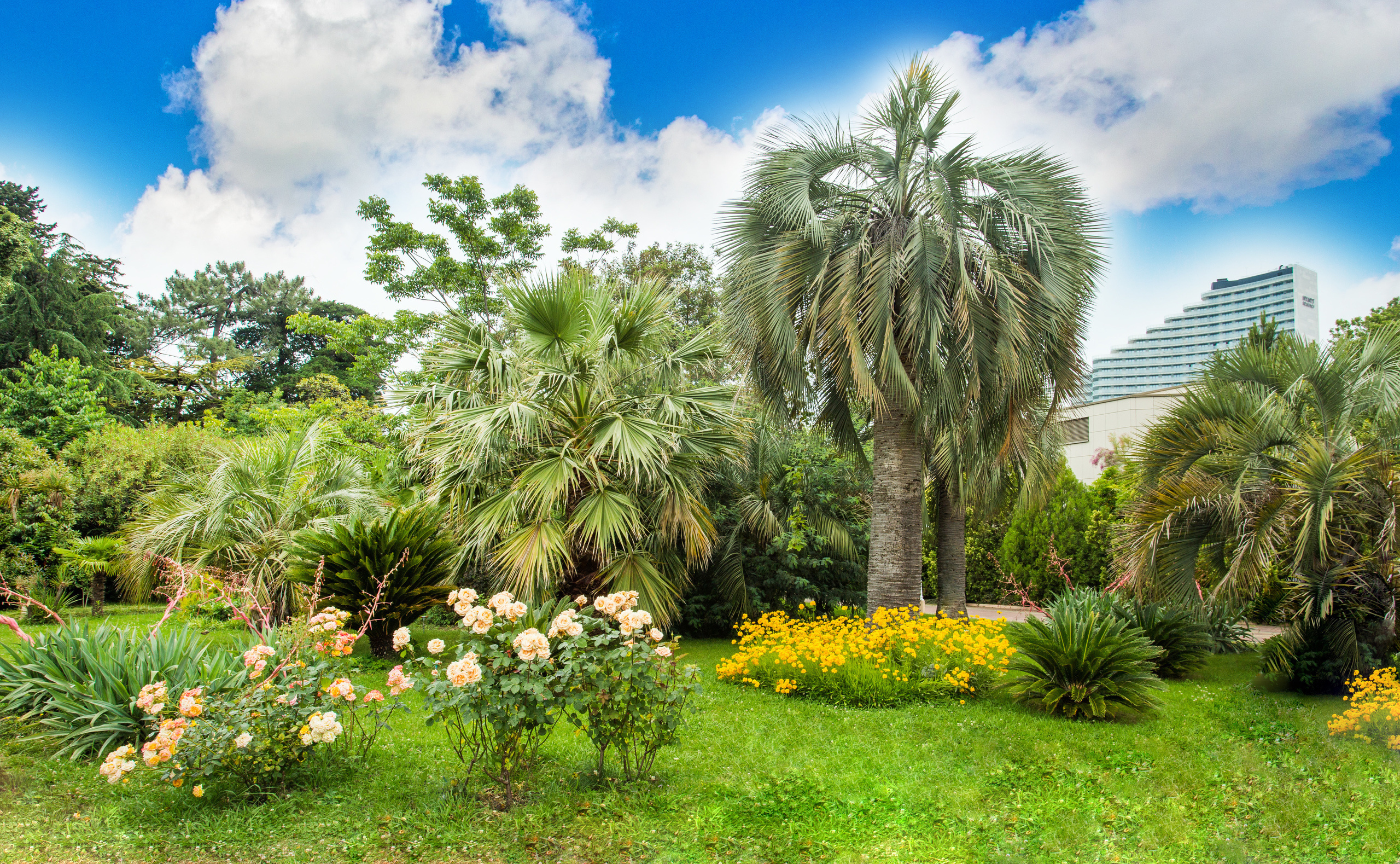 Пример интерьерной фотосъемки - Санаторий Черноморье. Услуги фотографа в Сочи