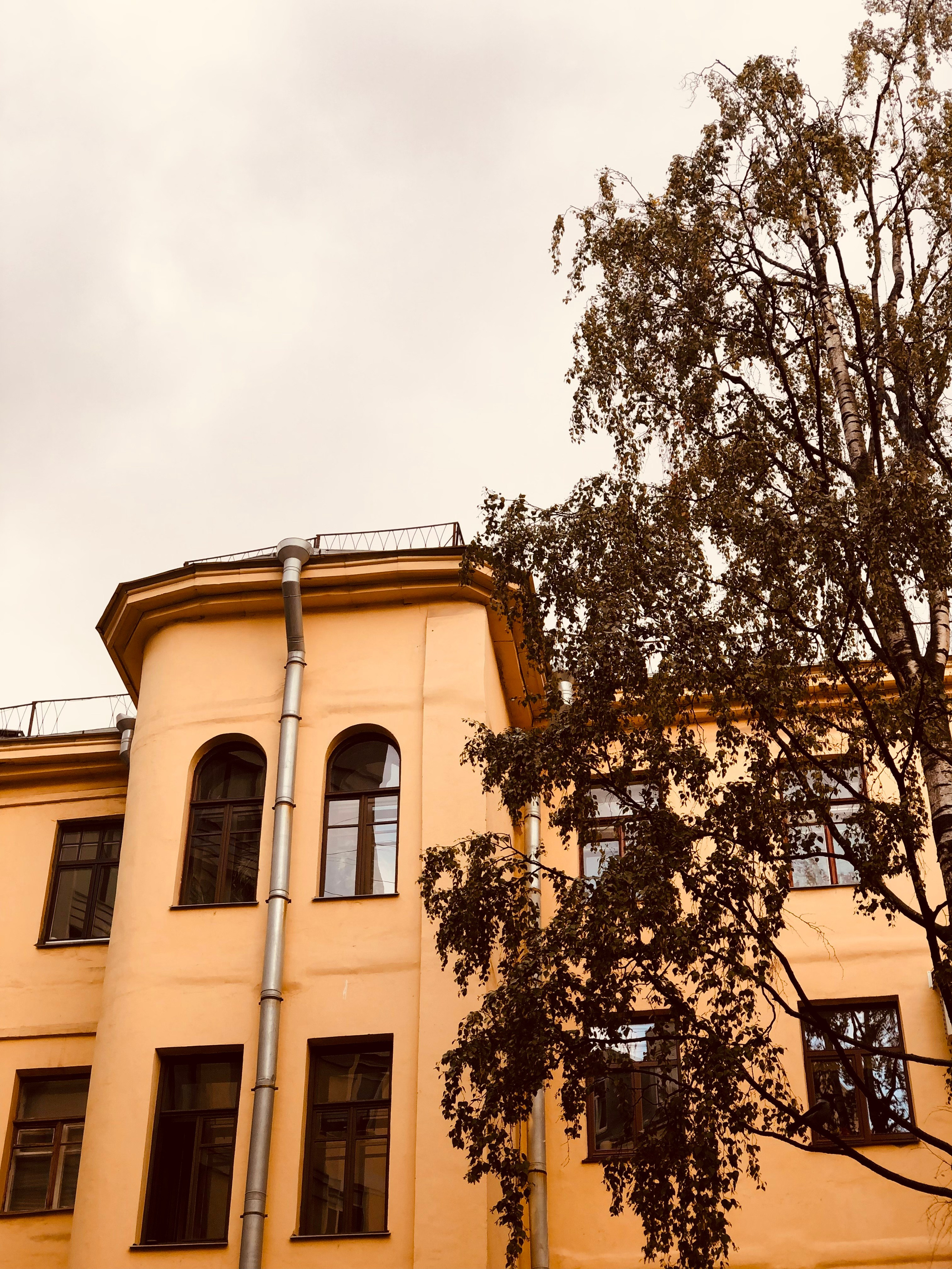 Октябрь. Семейный, Свадебный фотограф СПБ Питер— Романова Екатерина