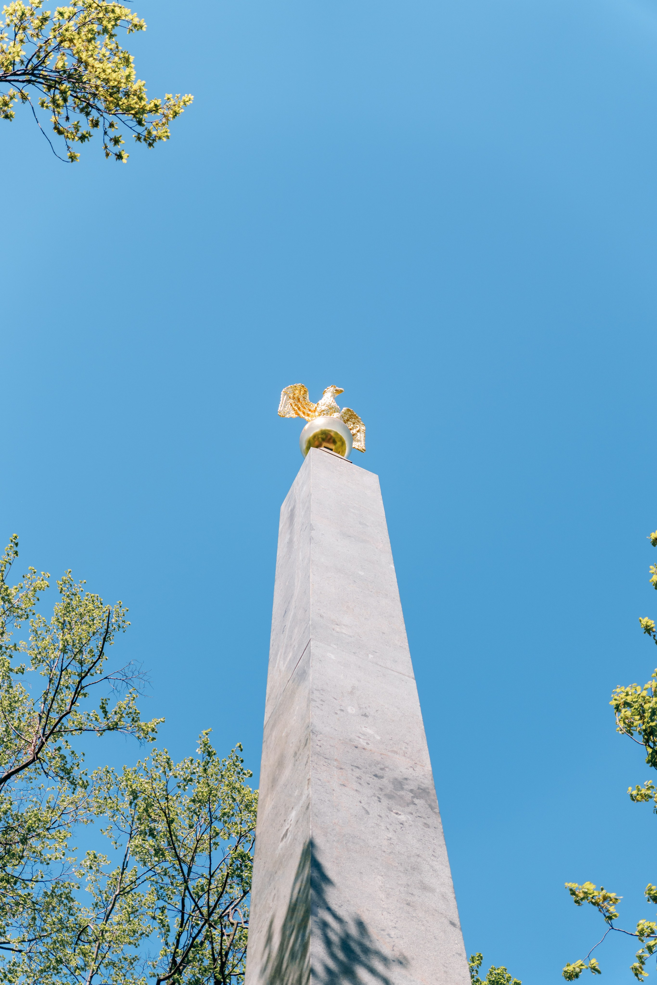 Первый чемпионат мира по геологии 2025, экскурсия. Фотограф в Санкт-Петербурге Ибрагимова Алина