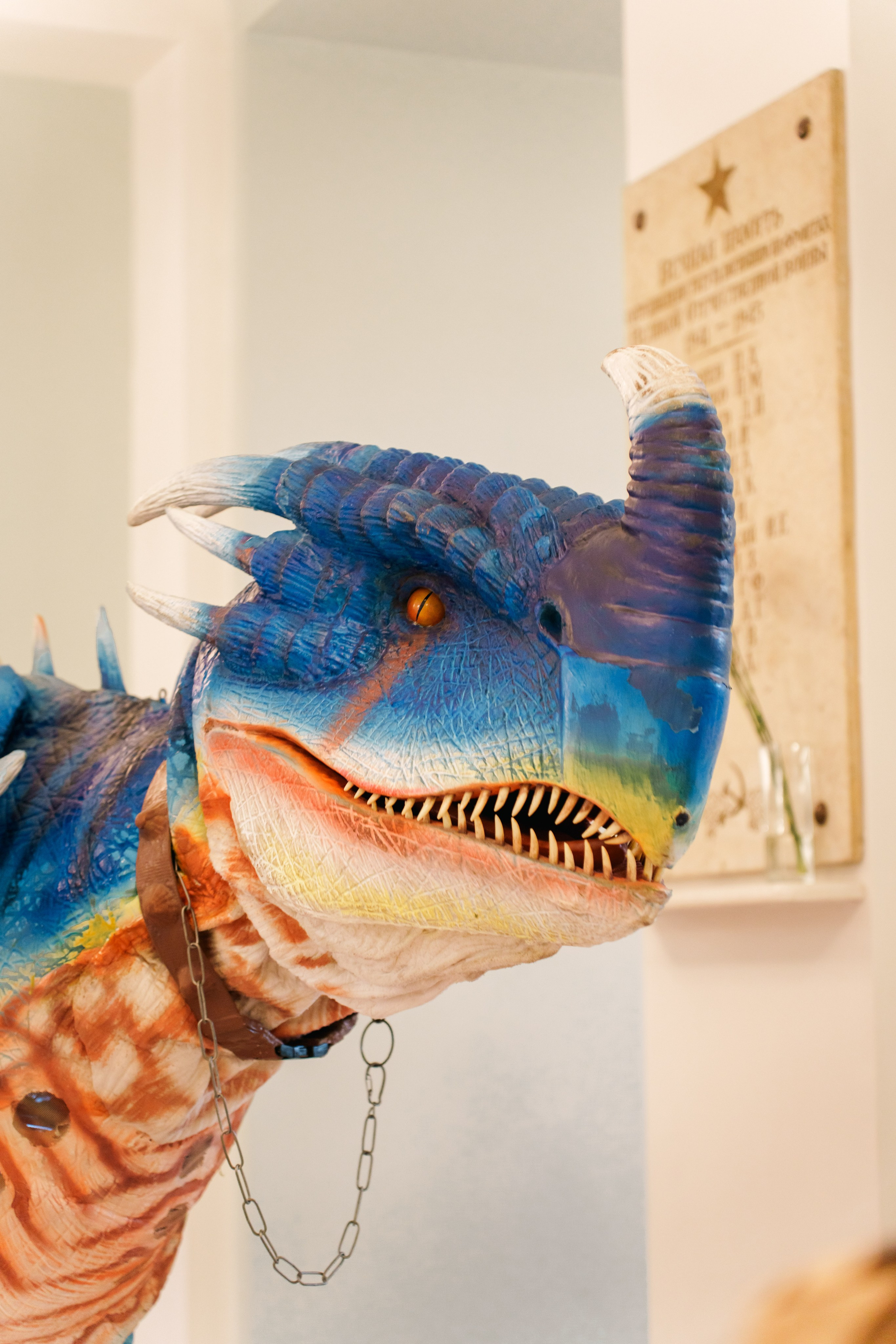 Первый чемпионат мира по геологии 2025. Фотограф в Санкт-Петербурге Ибрагимова Алина