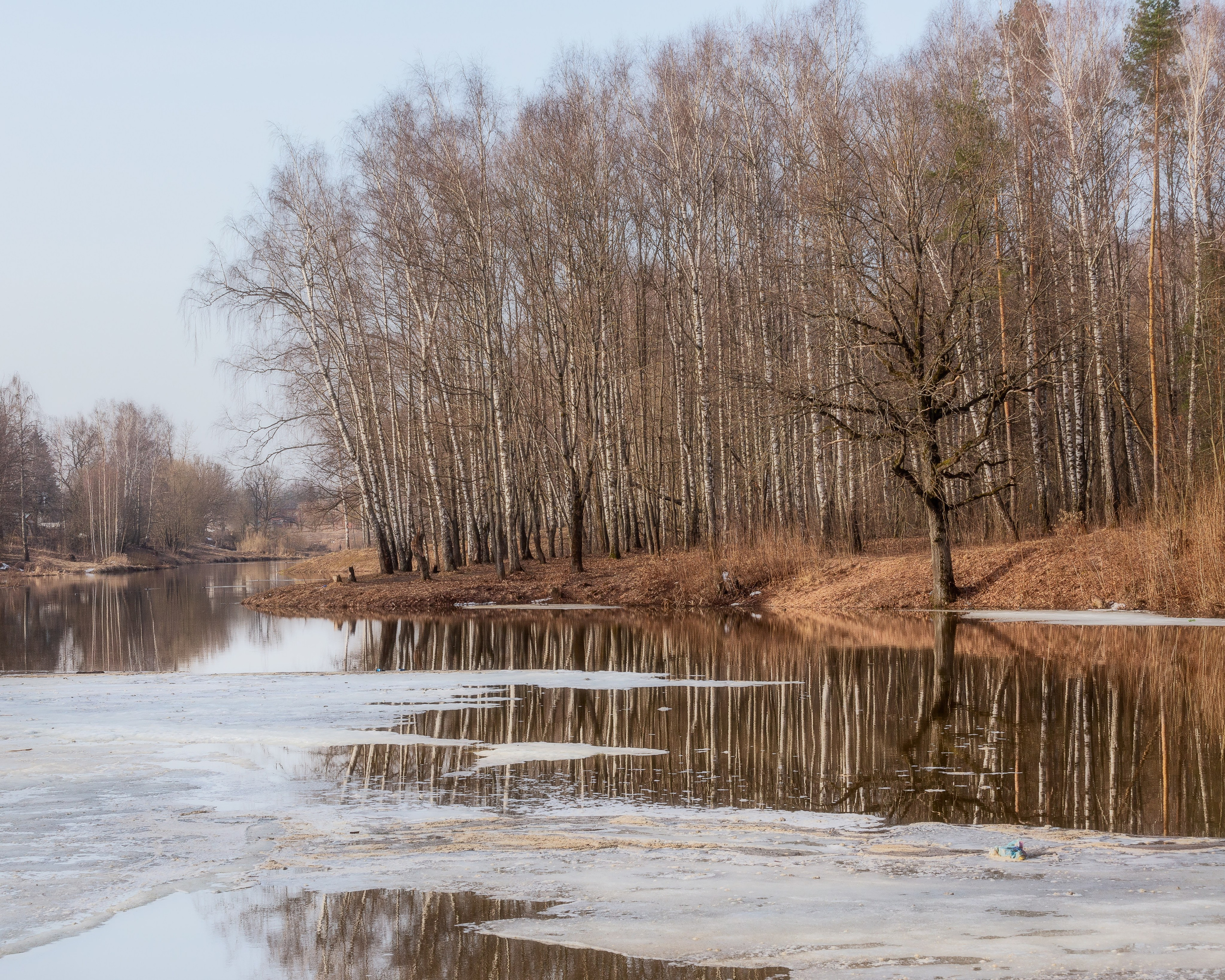 Природа (Весна). Фотограф Мартыненко Дмитрий