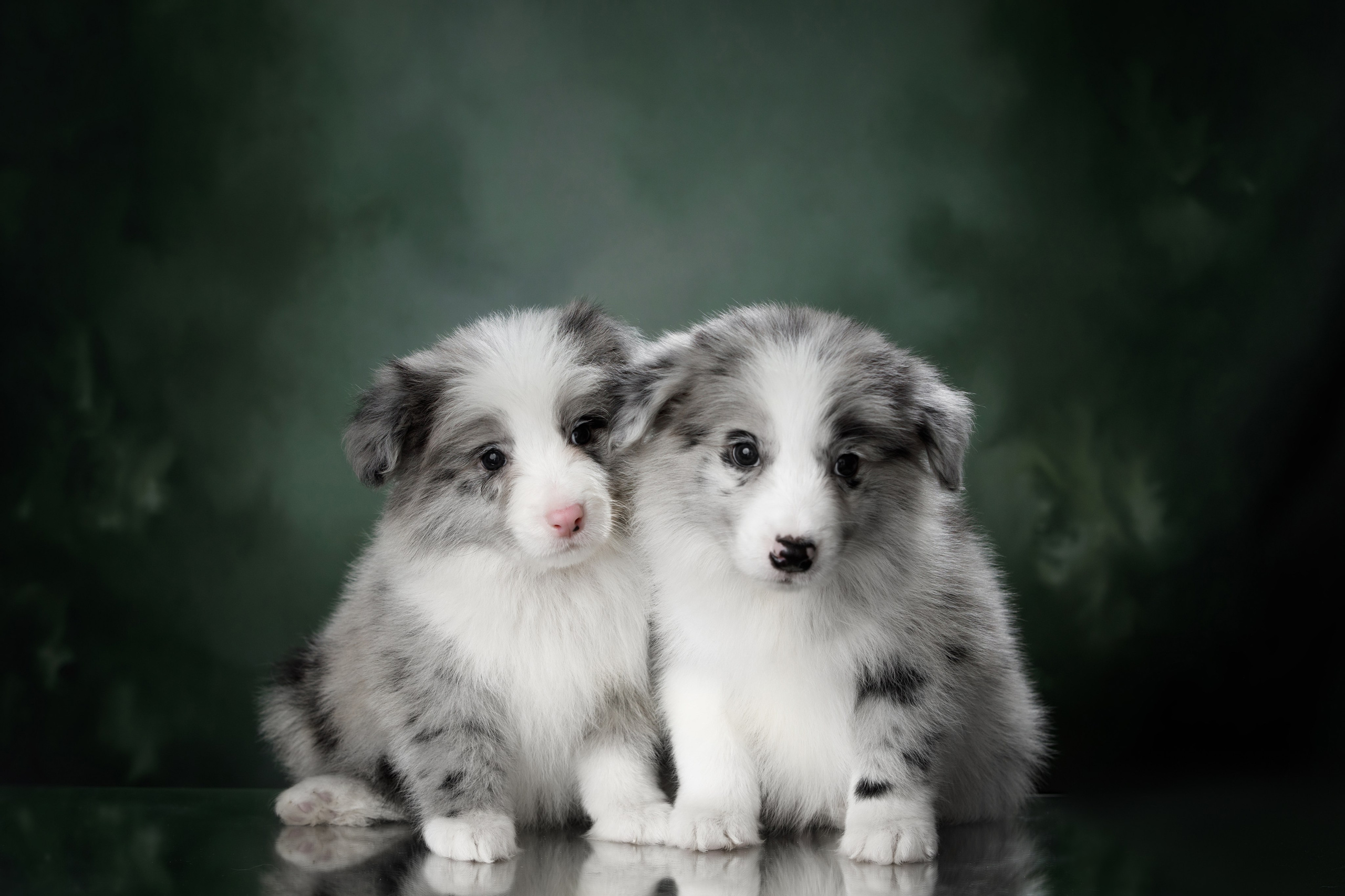 Март. Весна. 22. О нас