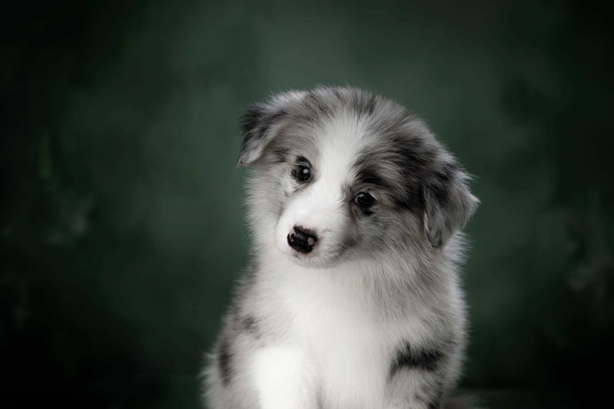 Март. Весна. 22. О нас