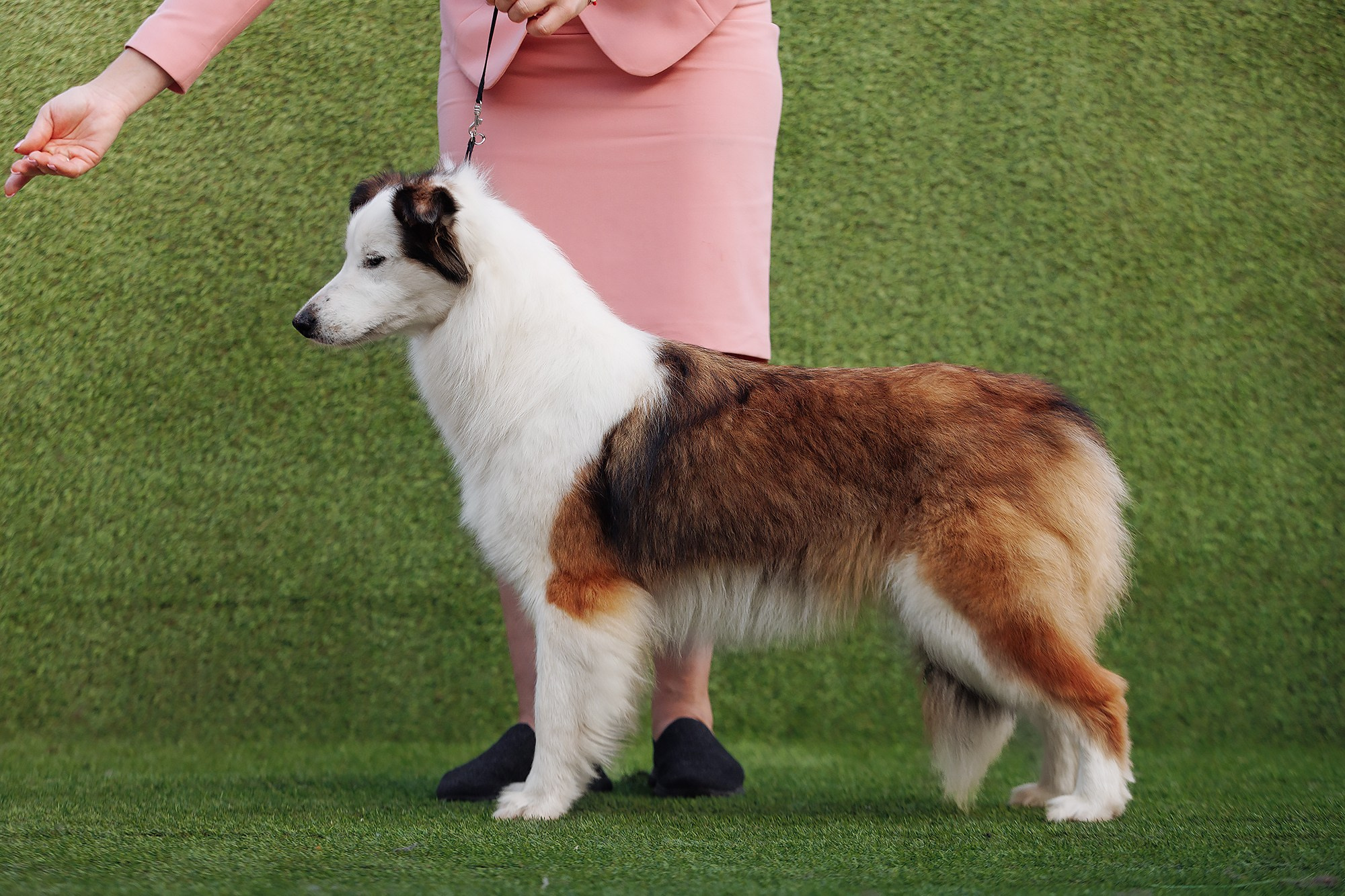 Трава у дома. О нас