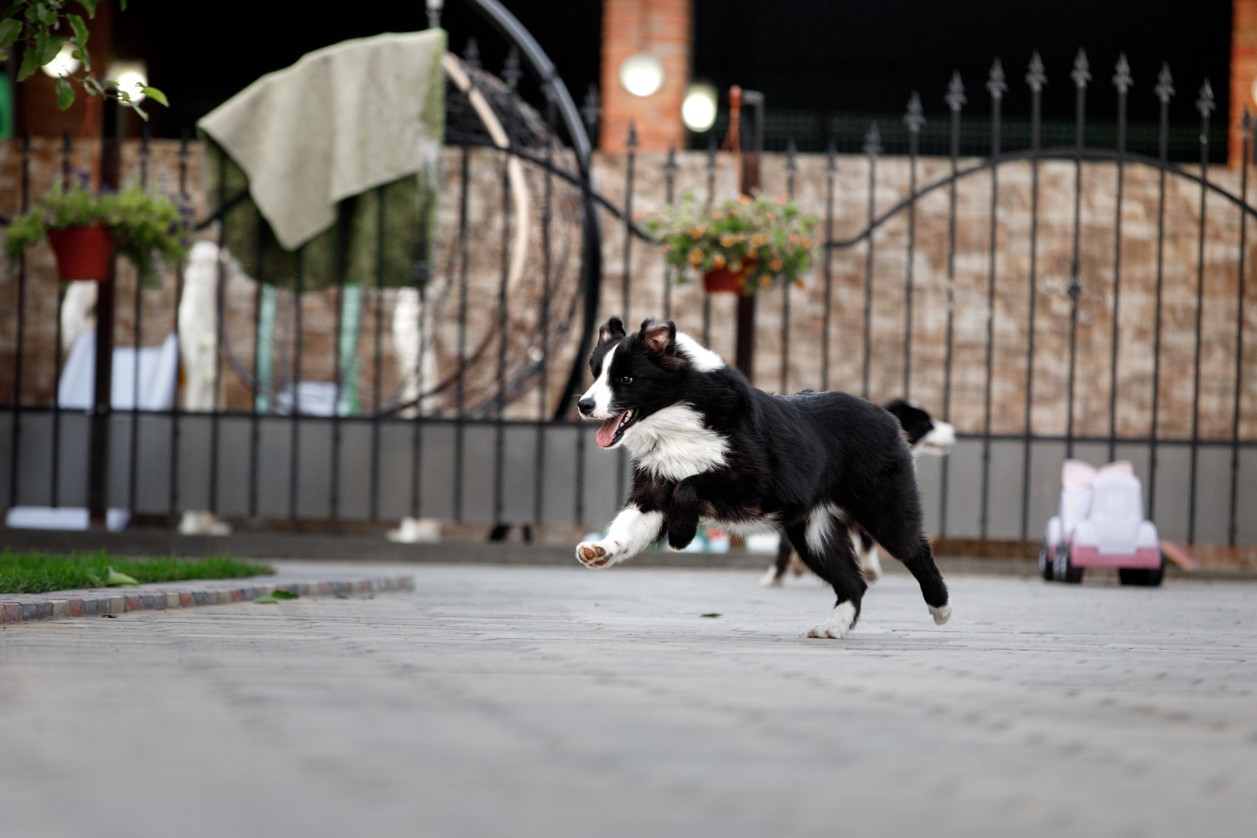 Болтовня в саду. О нас