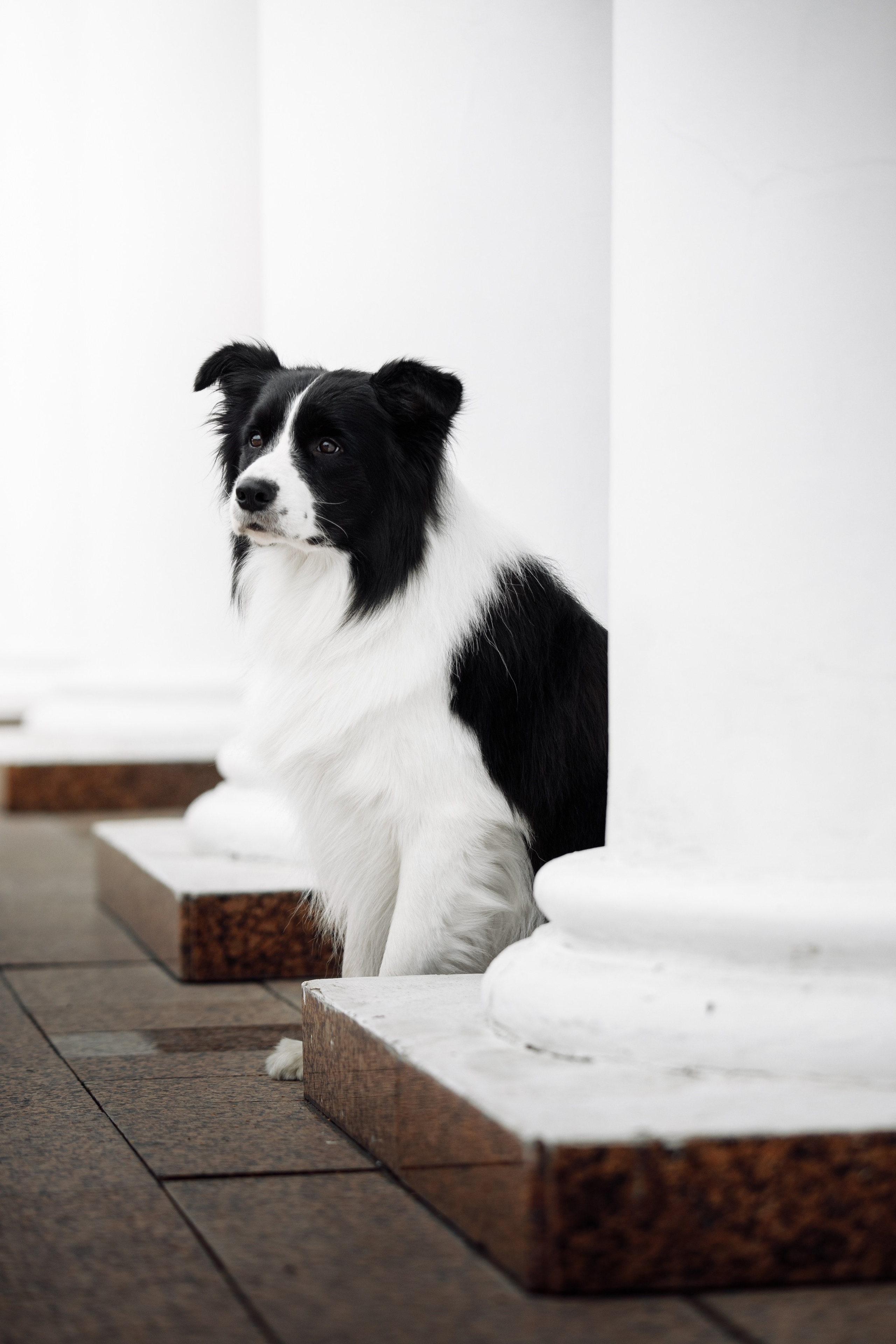 Казань. О нас