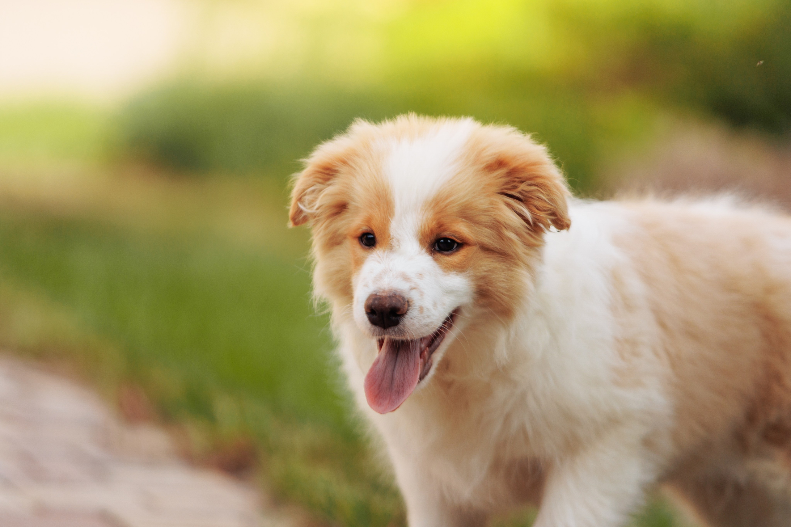 СОлнечные. О нас