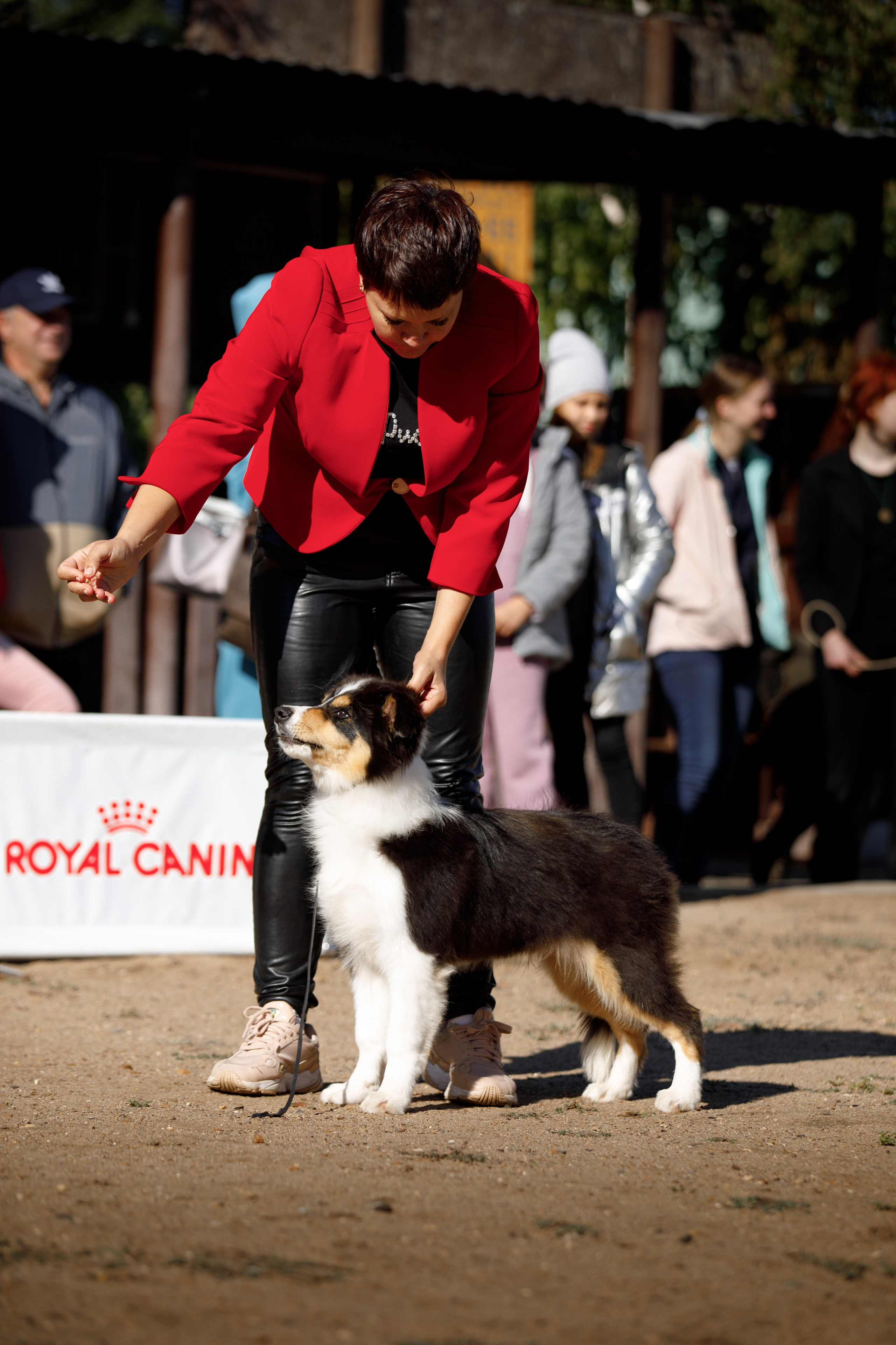 Водяные в Новотроицке. О нас