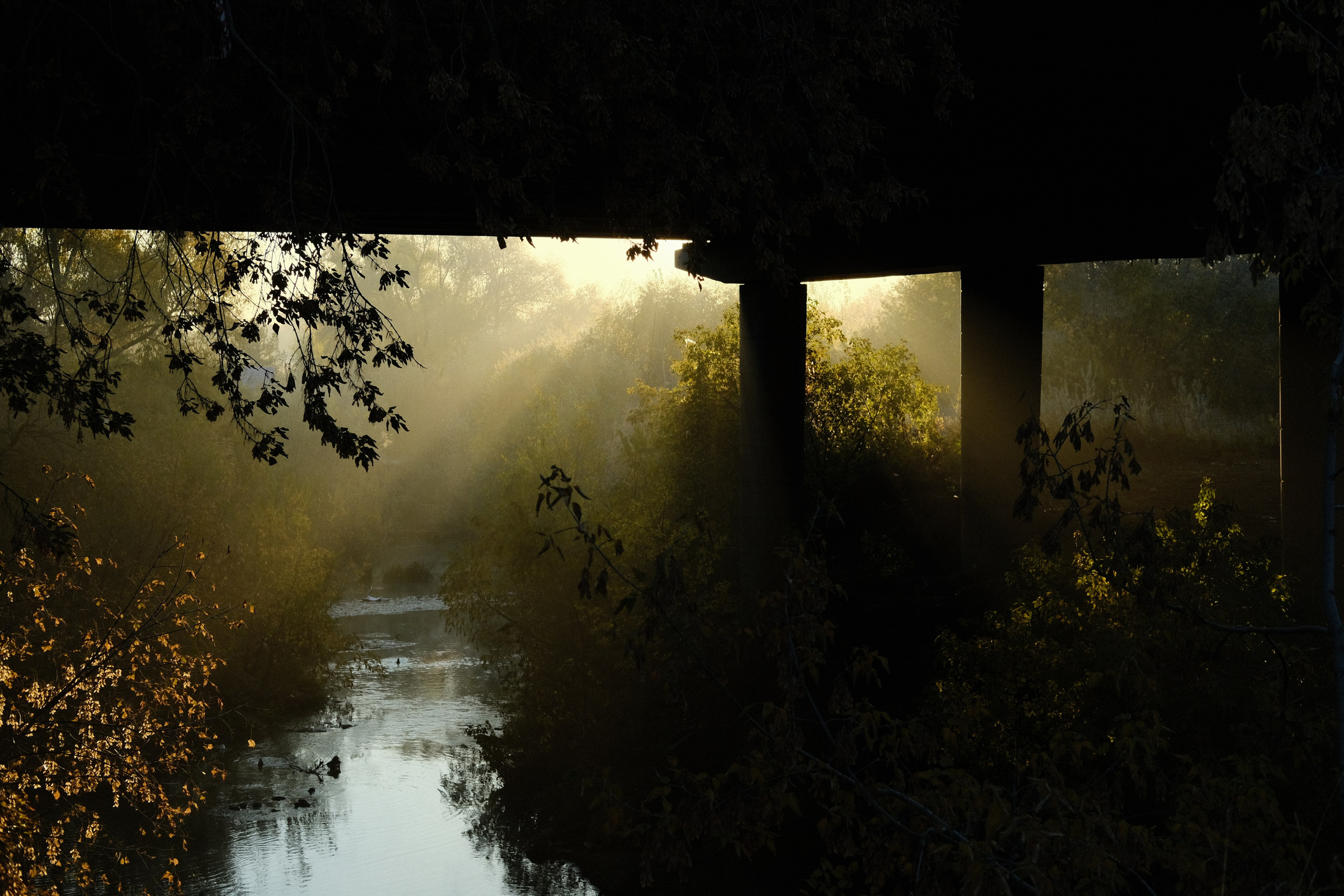 Наблюдения. Семейный фотограф в Новосибирске Артём Кузнецов