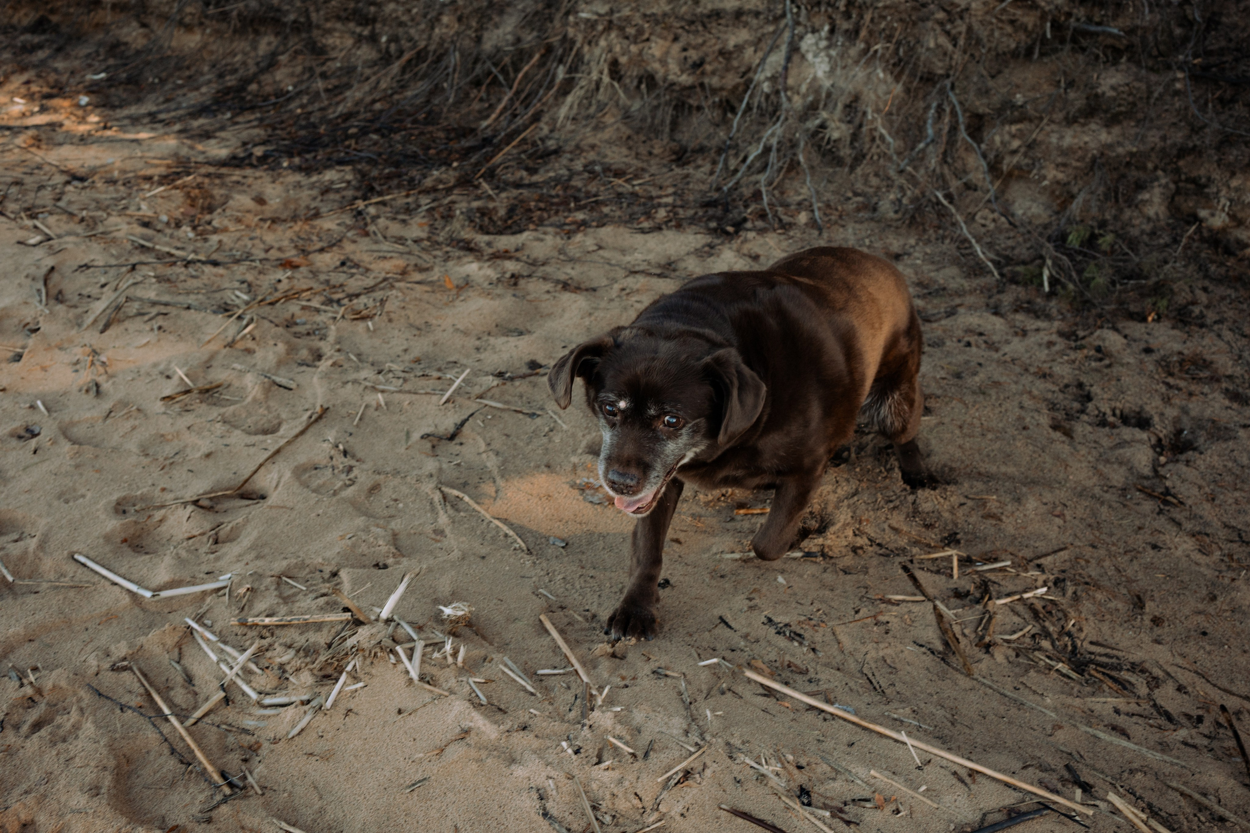 Оля и Питоня. Фотограф — Анималист | Санкт-Петербург