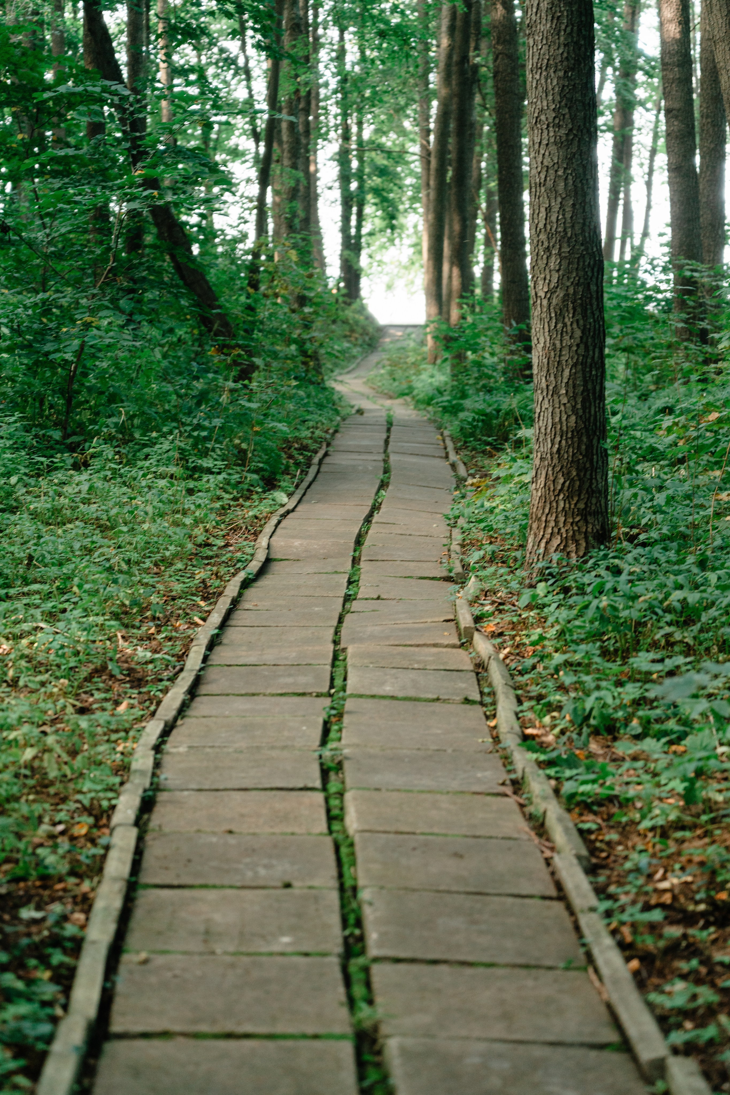 Витя Леся. Свадебный Фотограф Казань Челны