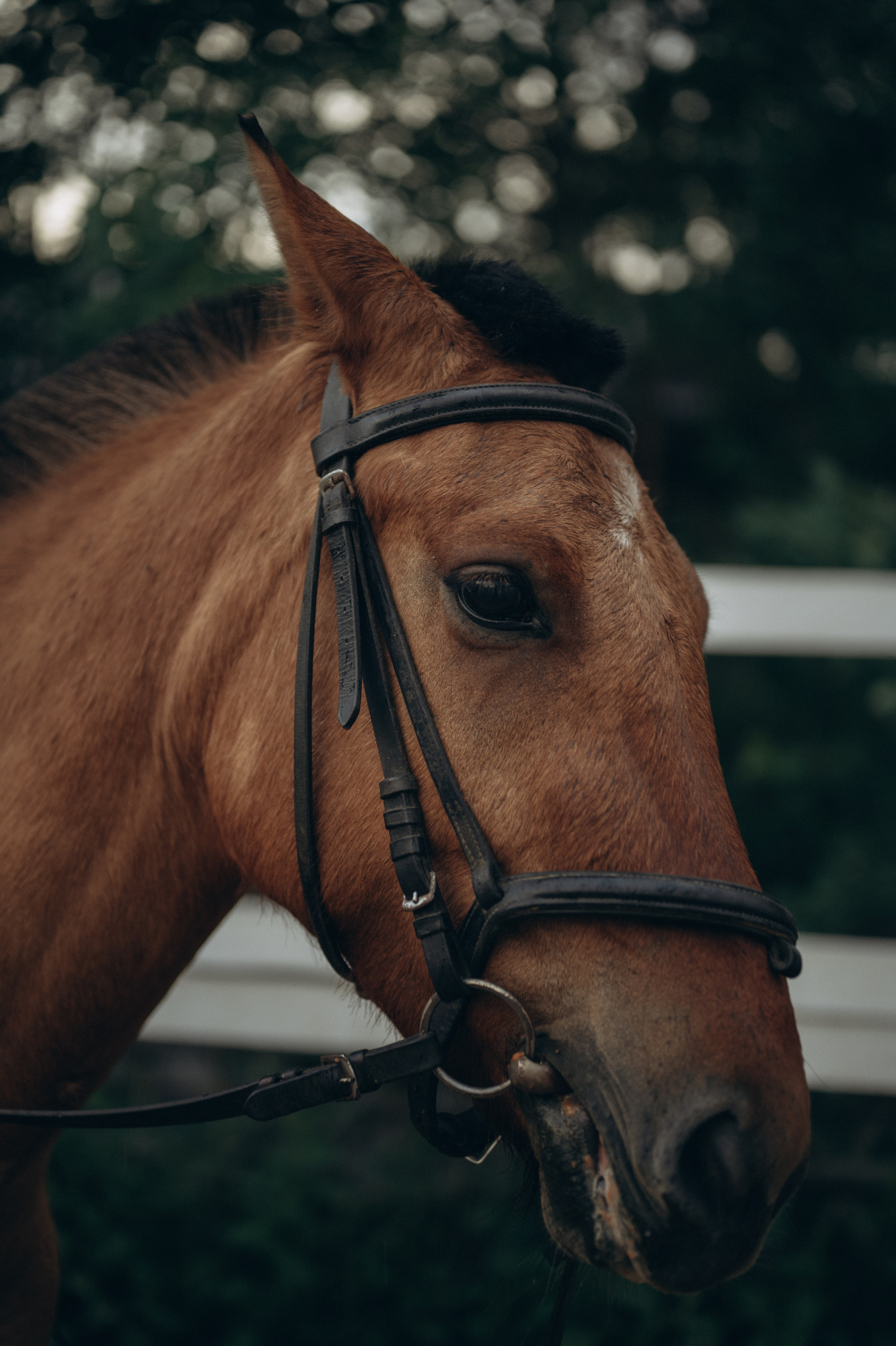 История для двоих. Семейный свадебный фотограф Екатеринбург Первоуральск Шарнина Алёна