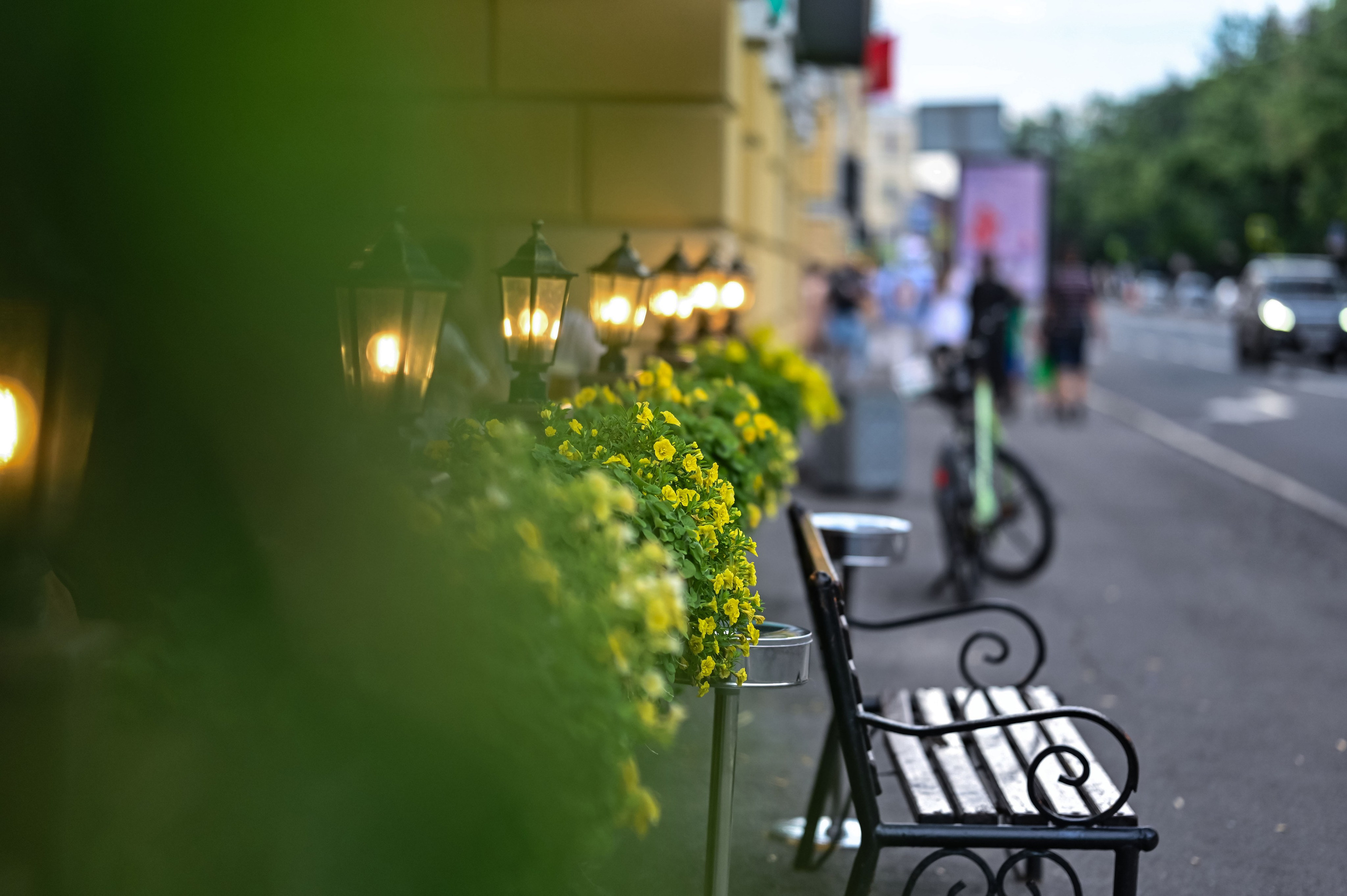 . ZDARONOKIA Репортажный фотограф
