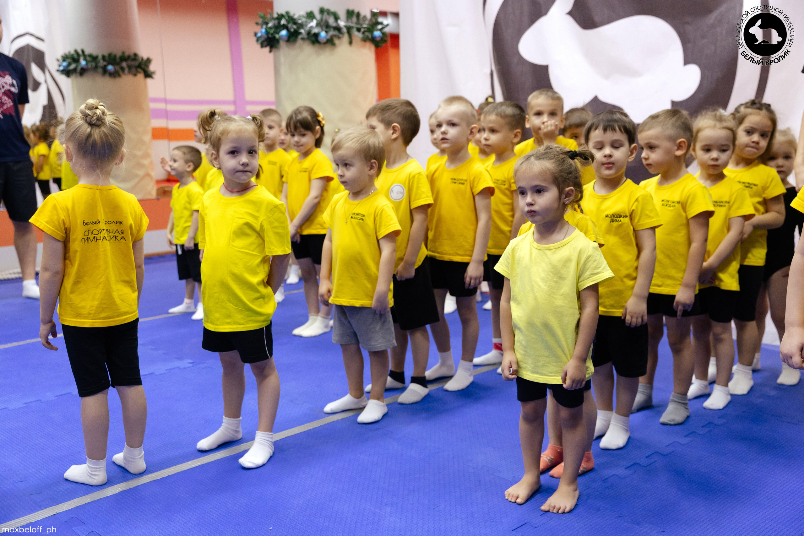 Белый кролик. Соревнования. Семейный фотограф — Макс Белогрудов