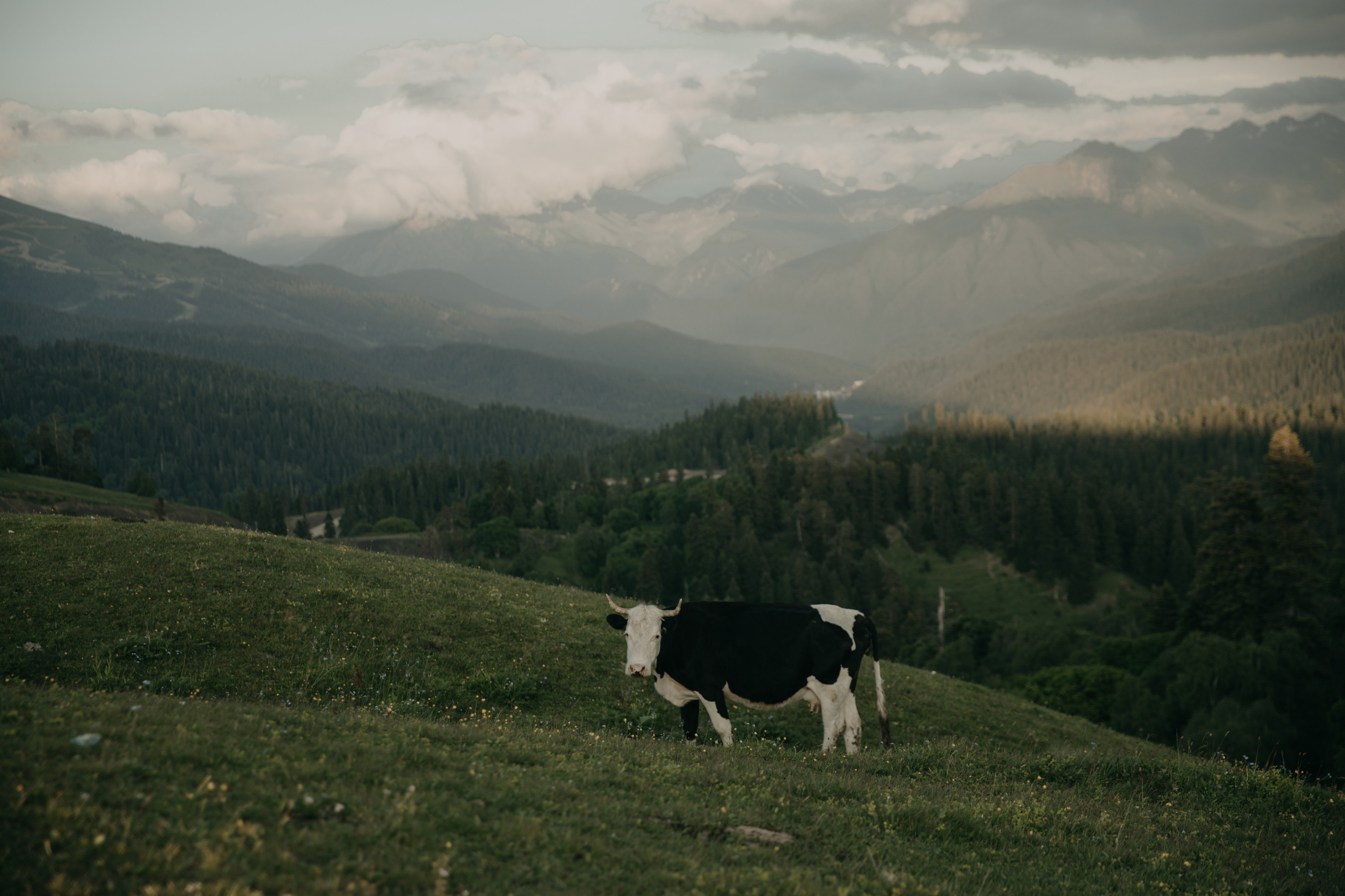 Дарья ღ Роман. Портфолио