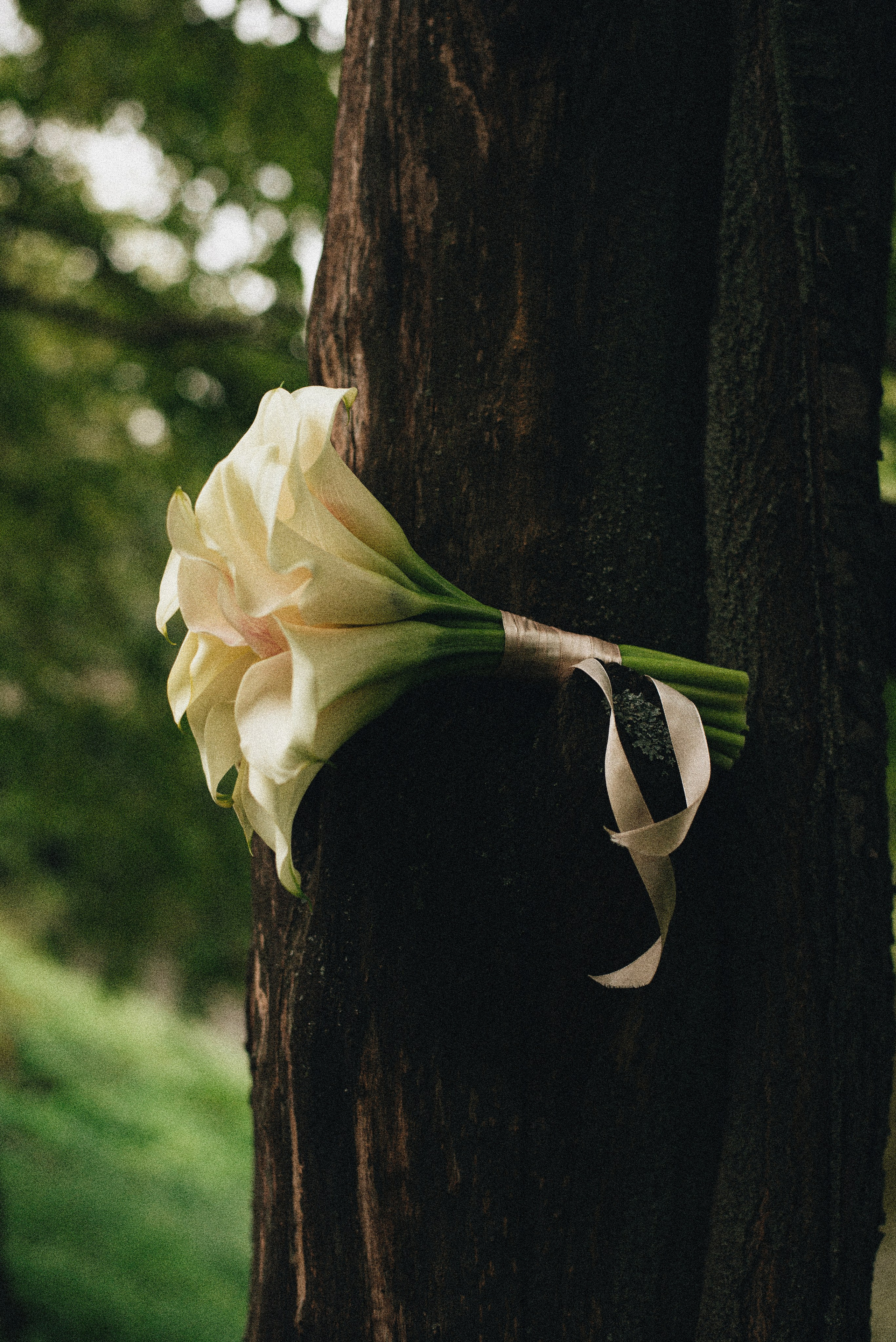 Свадьбы. Фотограф Анастасия Кустова
