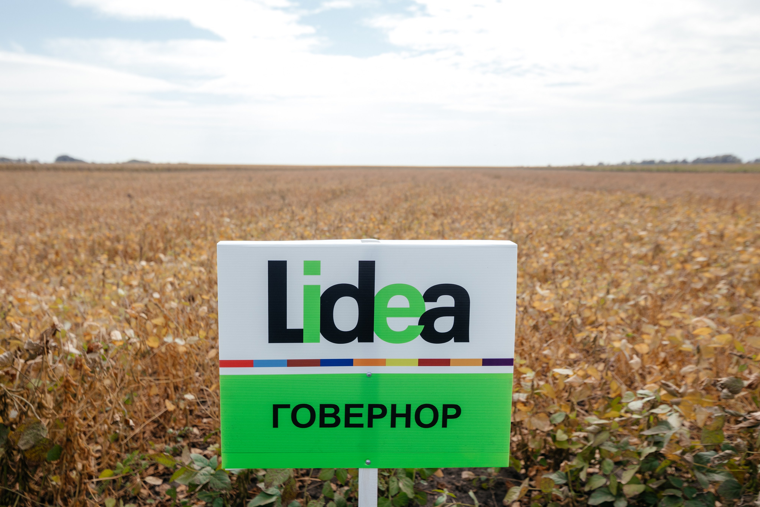 День поля. Фотограф Крохин Олег