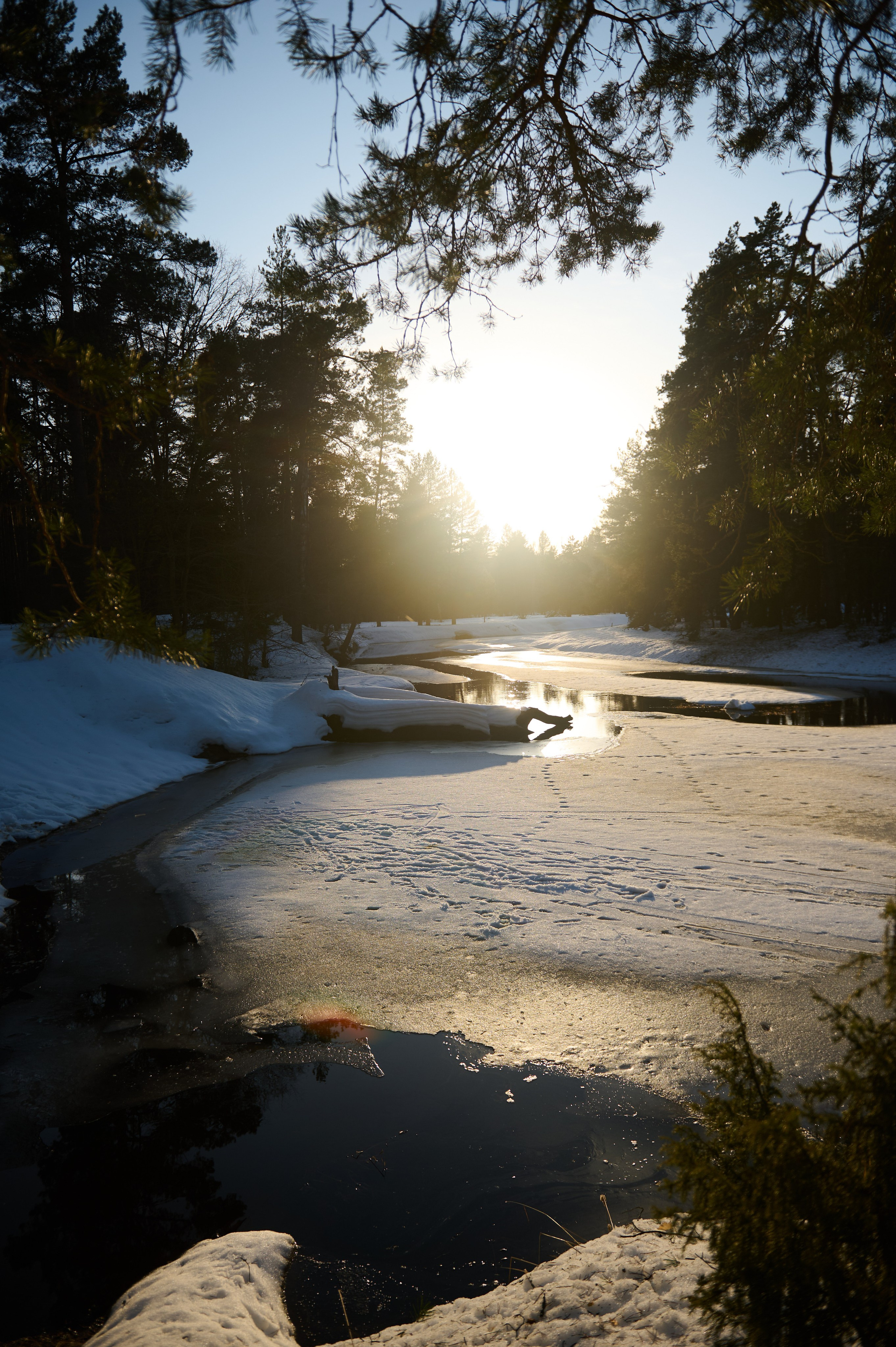 Первый весенний сплав р. Нерская. Главная
