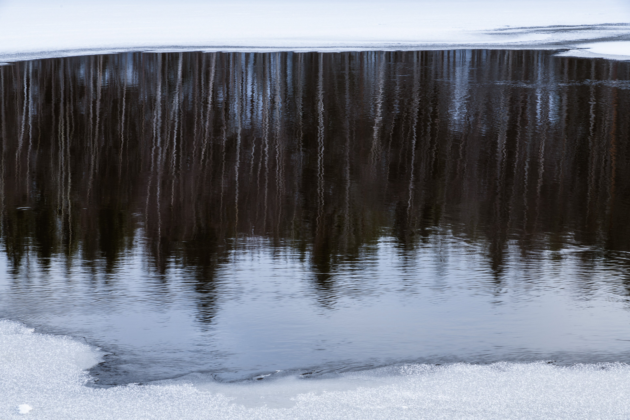Весна. Северные Ночи