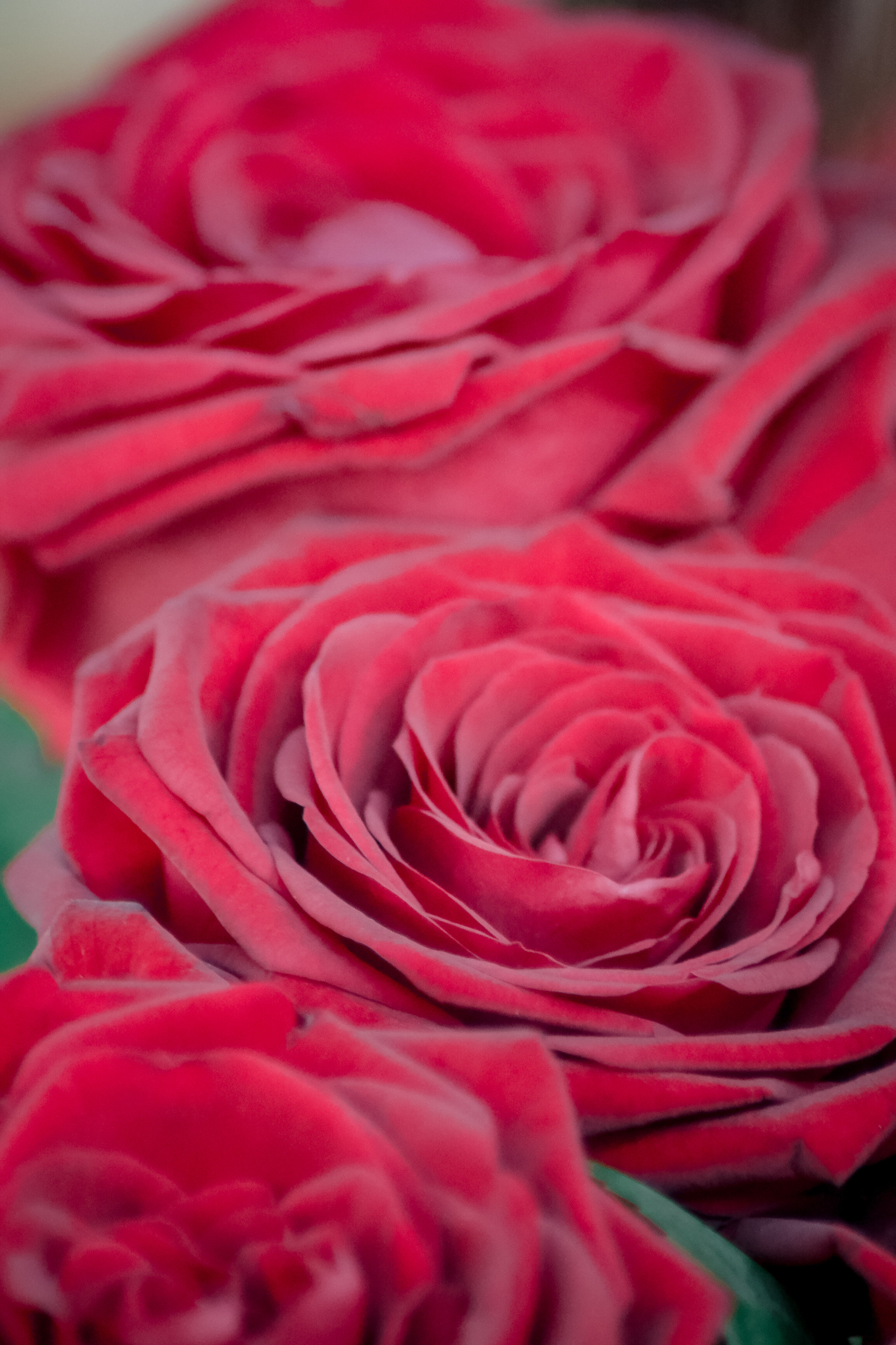 Фотопрогулка для Татьяны. LifeStyle фотограф Анна Воробьёва Санкт-Петербург