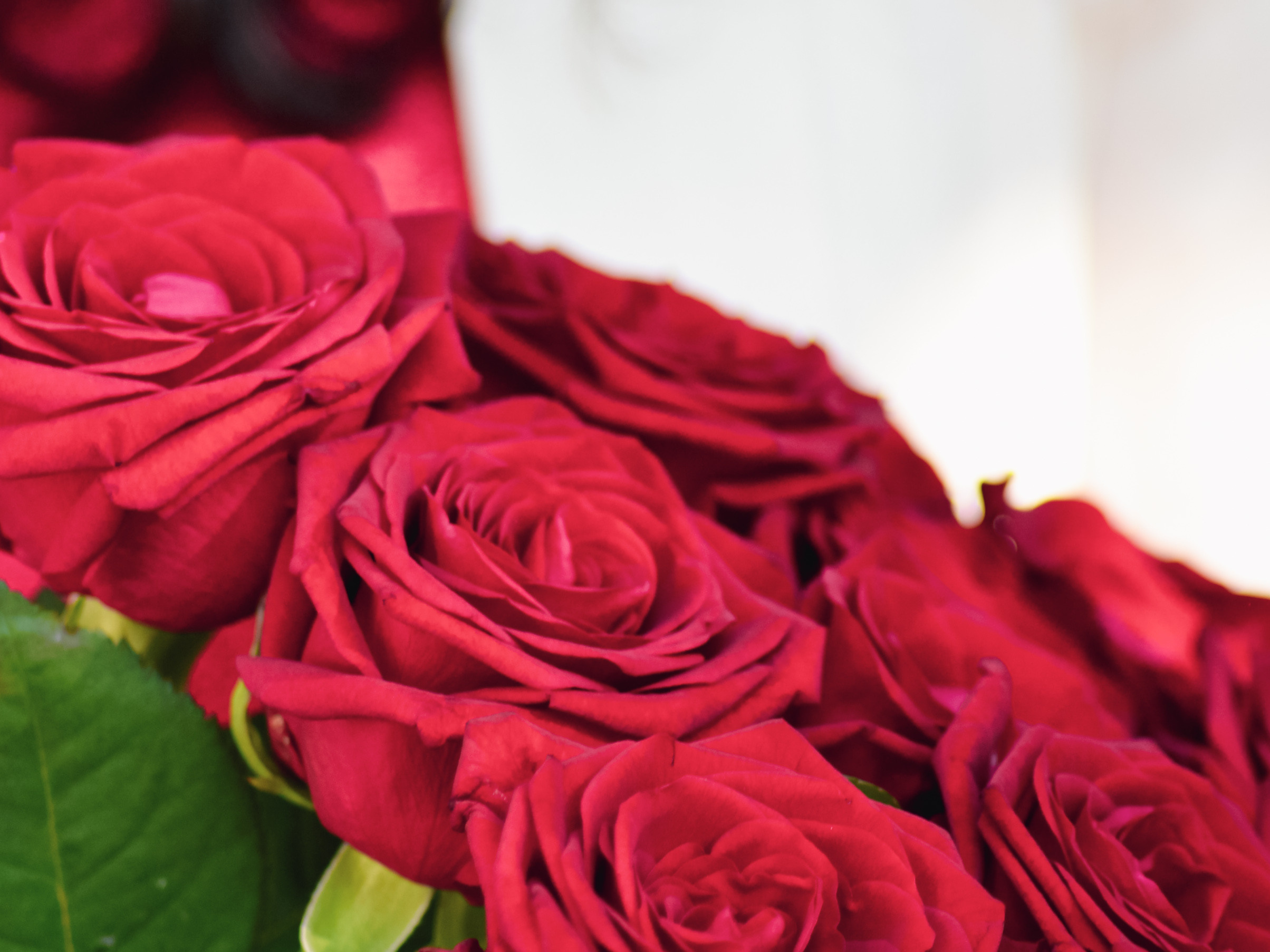 Фотопрогулка для Татьяны. LifeStyle фотограф Анна Воробьёва Санкт-Петербург