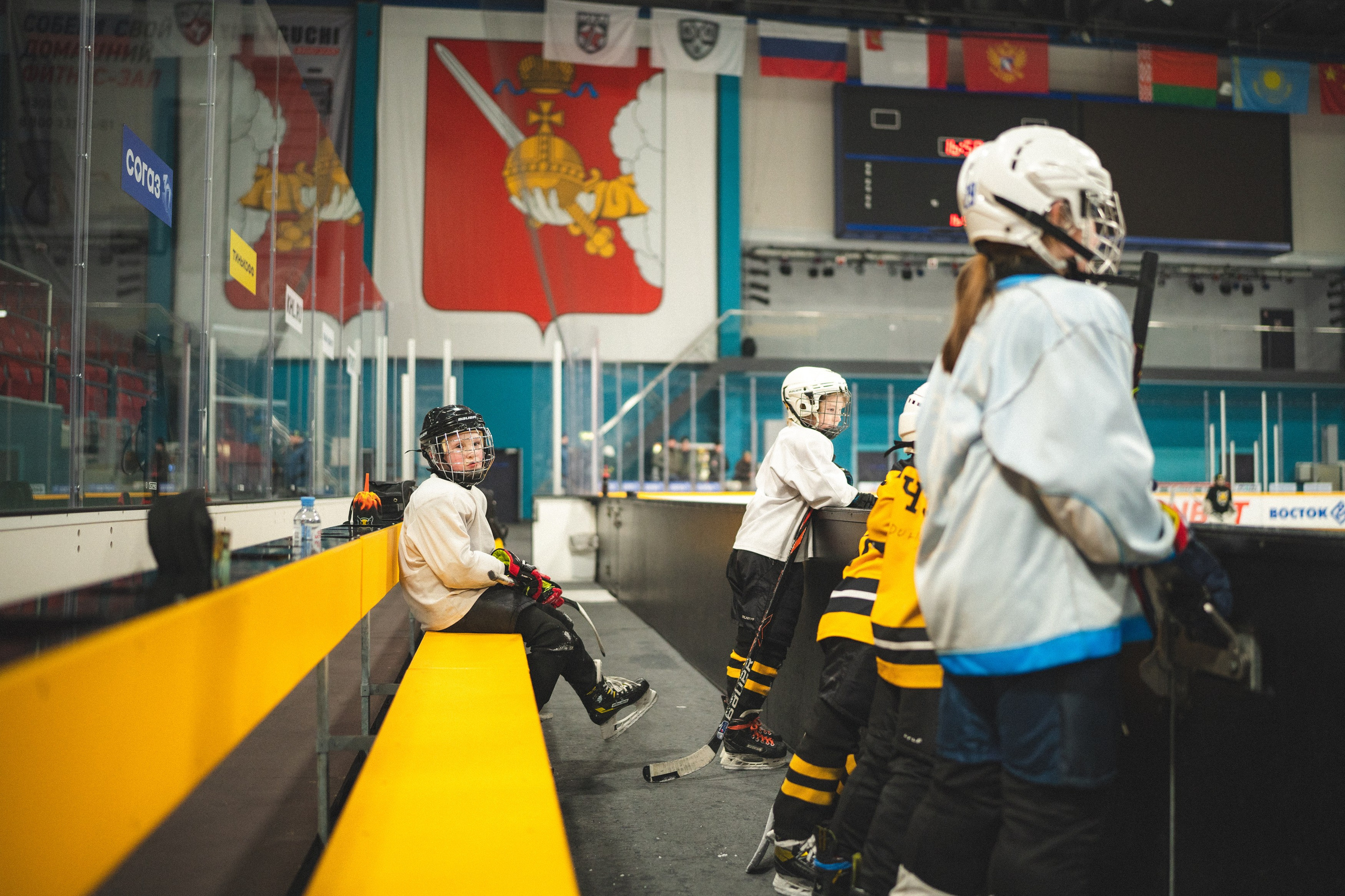 ХК Северсталь (младшая группа). Череповец. Zekons. Фото, видео, нейросети