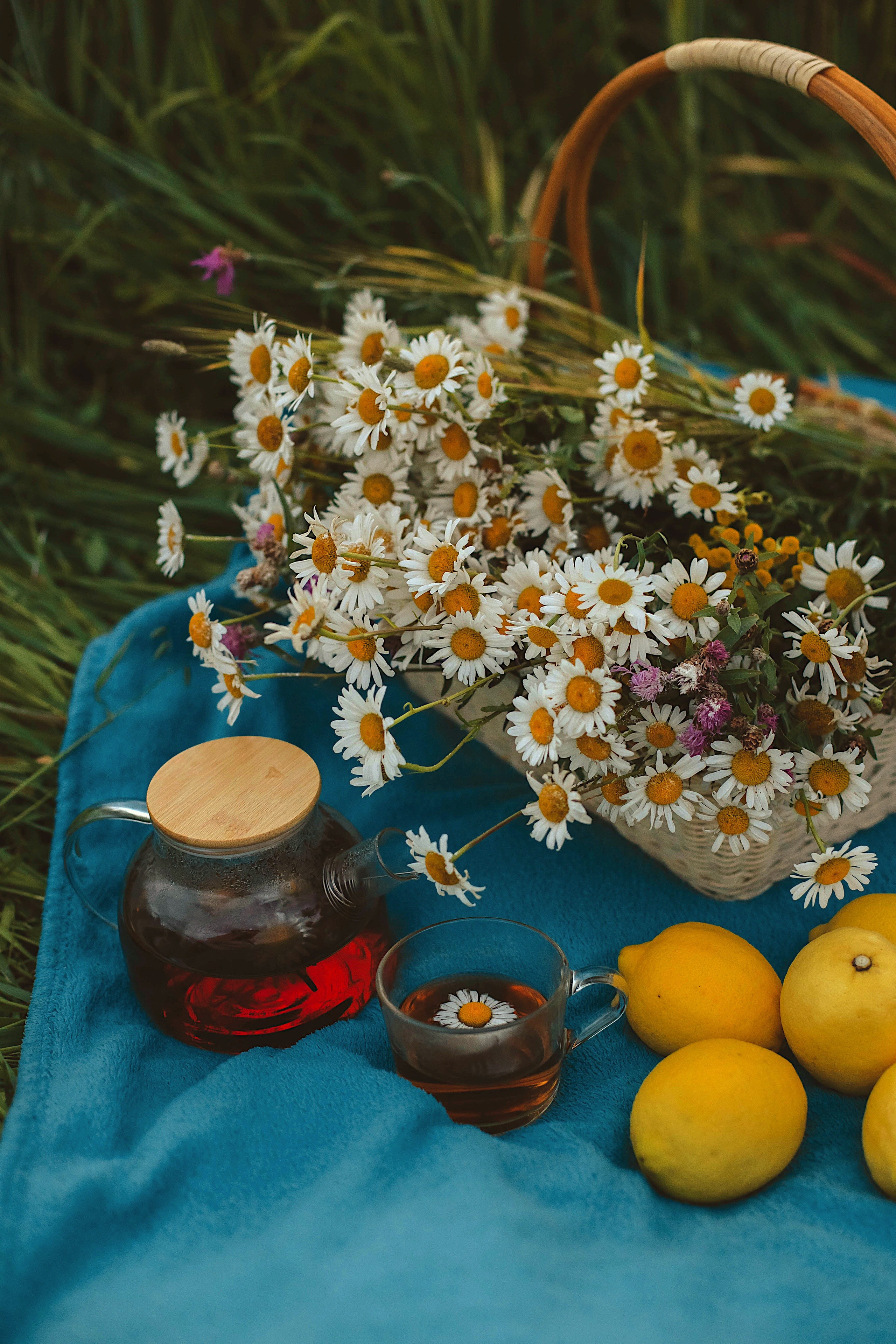 СЕМЬЯ. Фотограф из Санкт-Петербурга Ильинская Ксения
