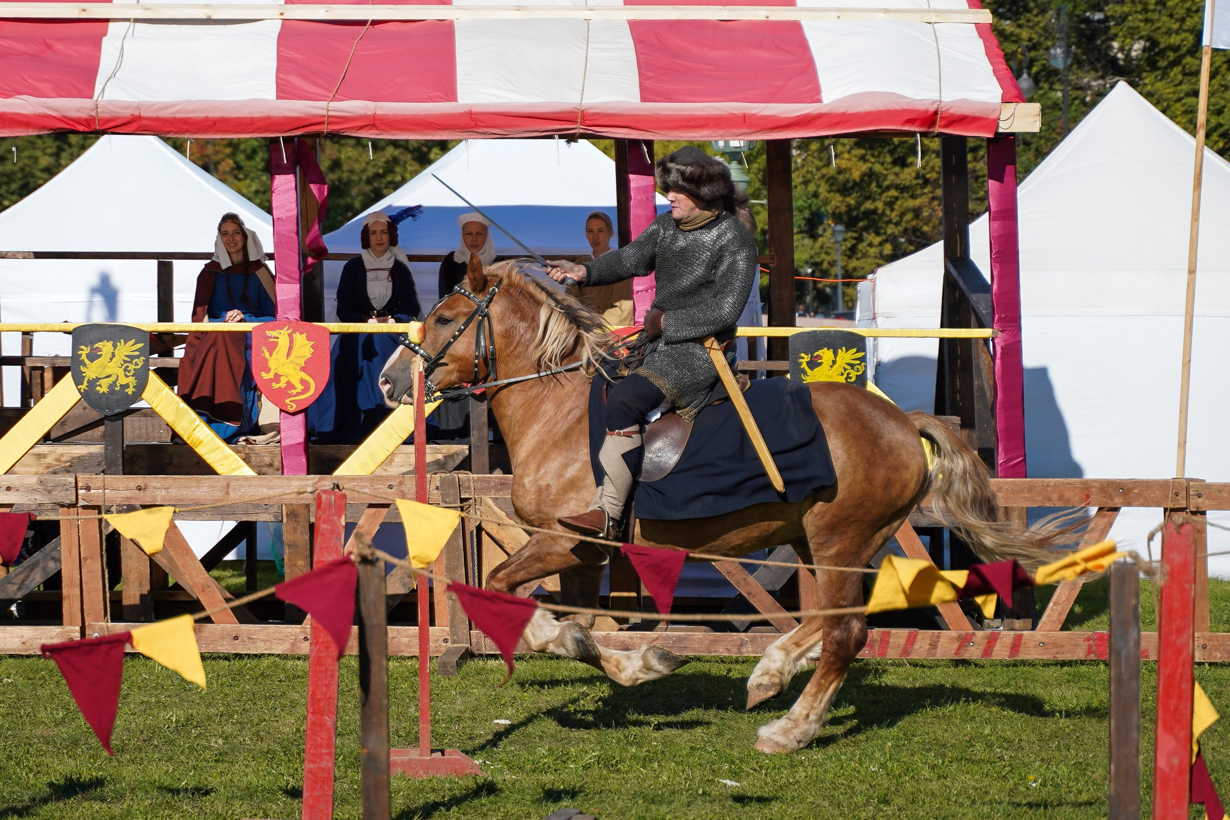Рыцарский турнир в рамках фестиваля «Битва на Неве» Санкт-Петербург 2024 г. Фотограф-анималист, портретный фотограф в Чебоксарах Мария Садыкова