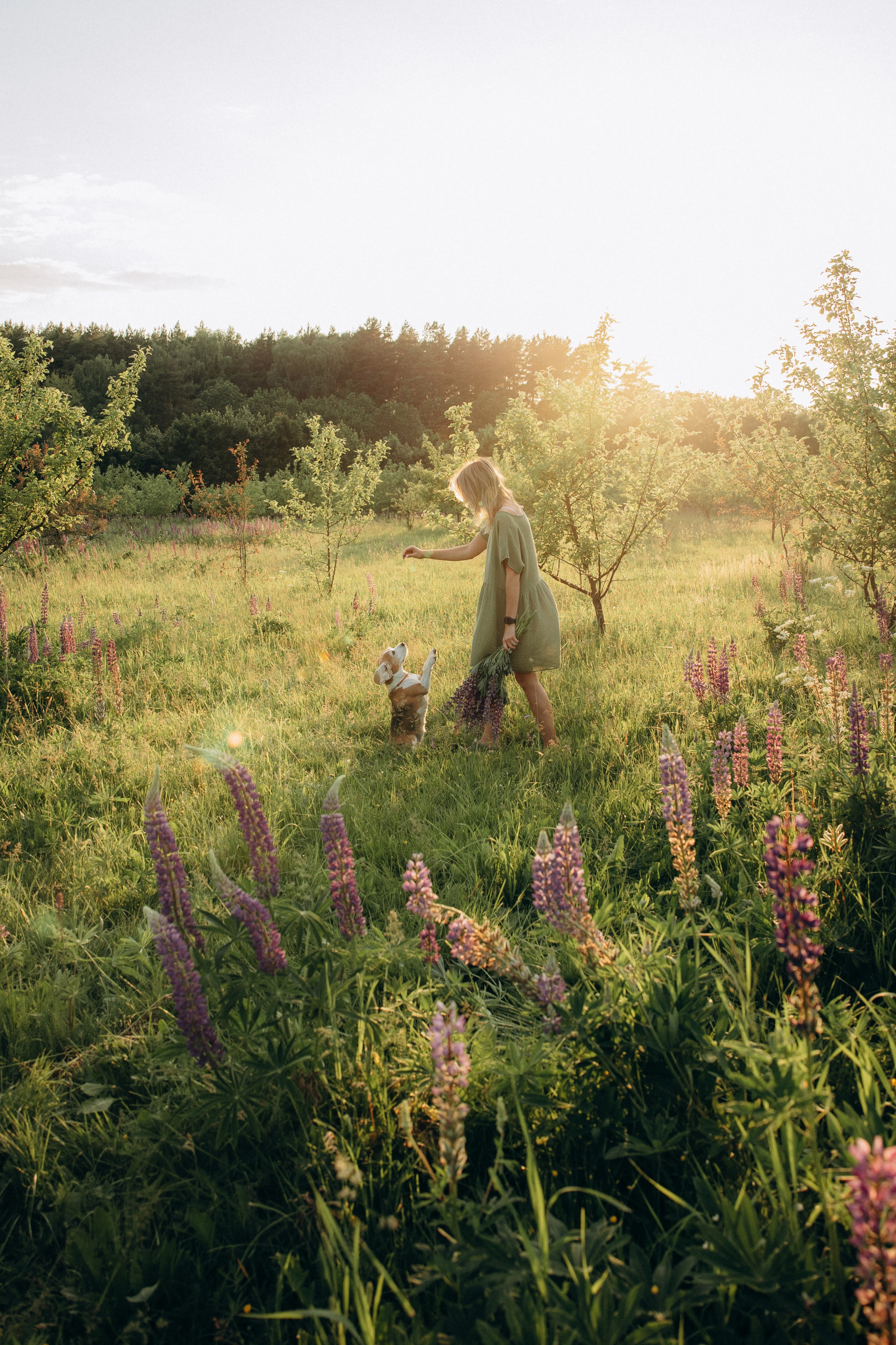 Кристина и Нора. На закате дня. Фотограф анималист в Казани Алина Сулейманова. Фотограф животных