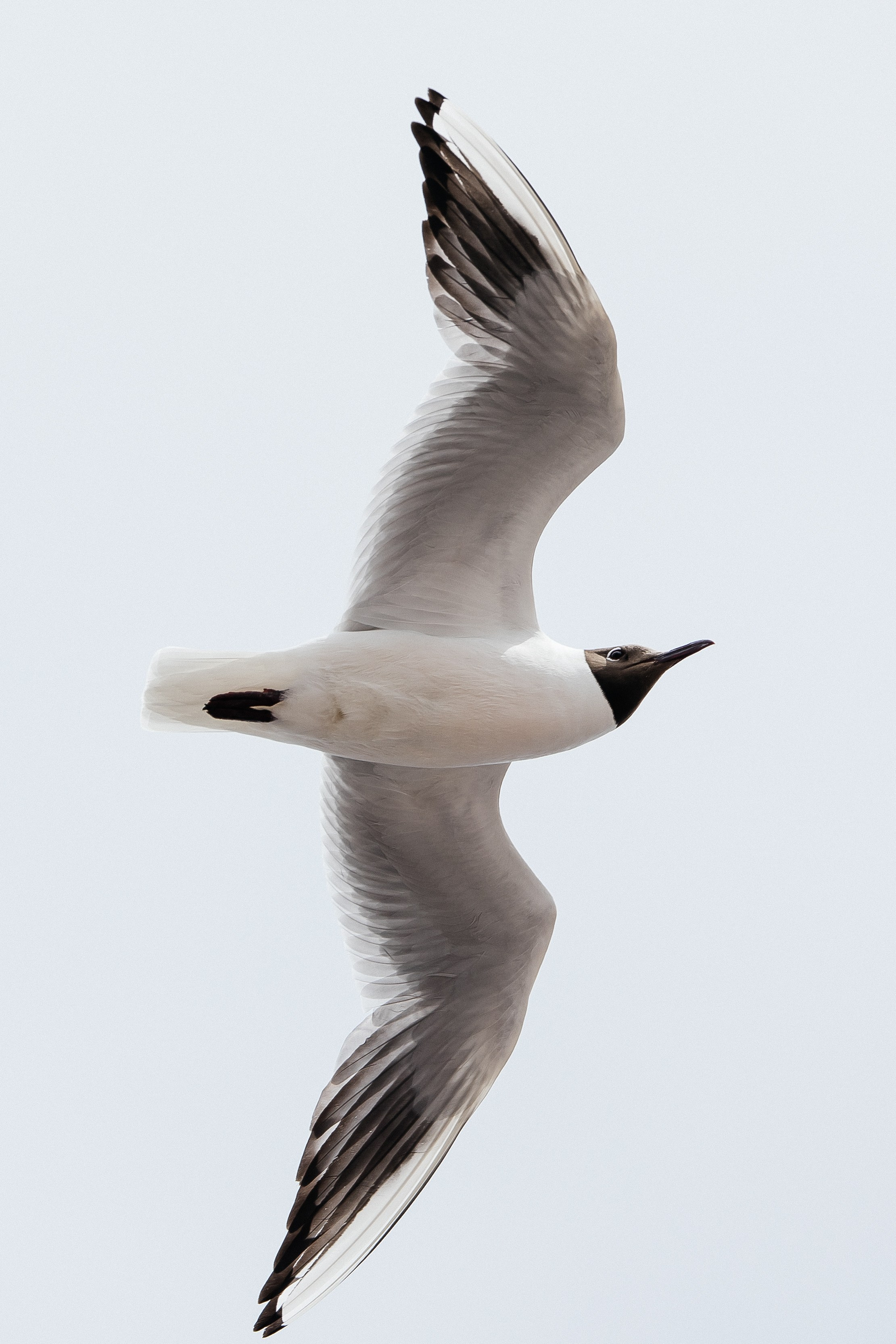 ПЕЙЗАЖ И ЛЮДИ. Саргылана Афанасьева
