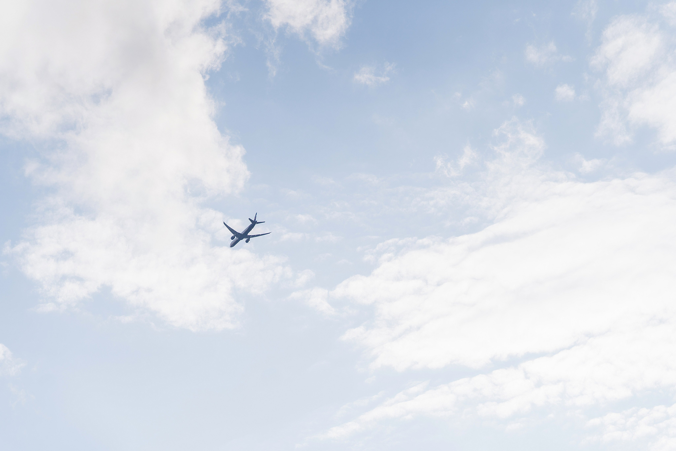 Клкллкаккк. Свадебный фотограф