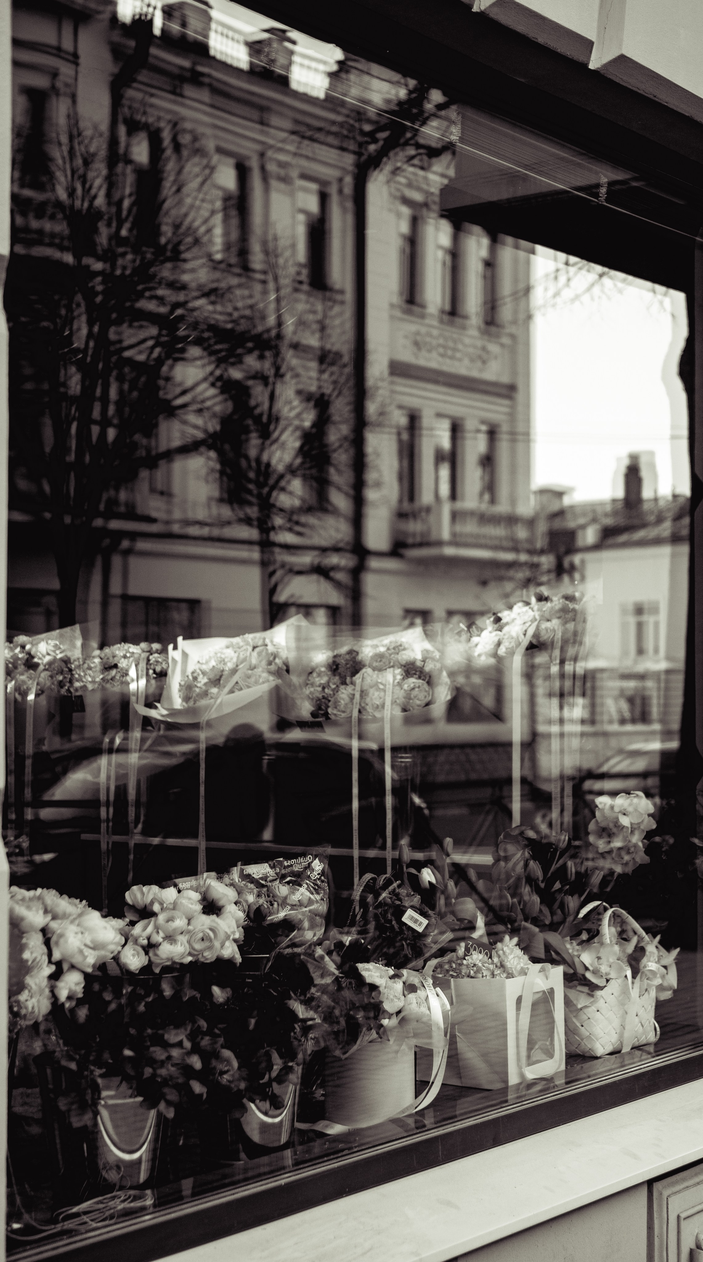 Wallpapers. Фотограф Казань