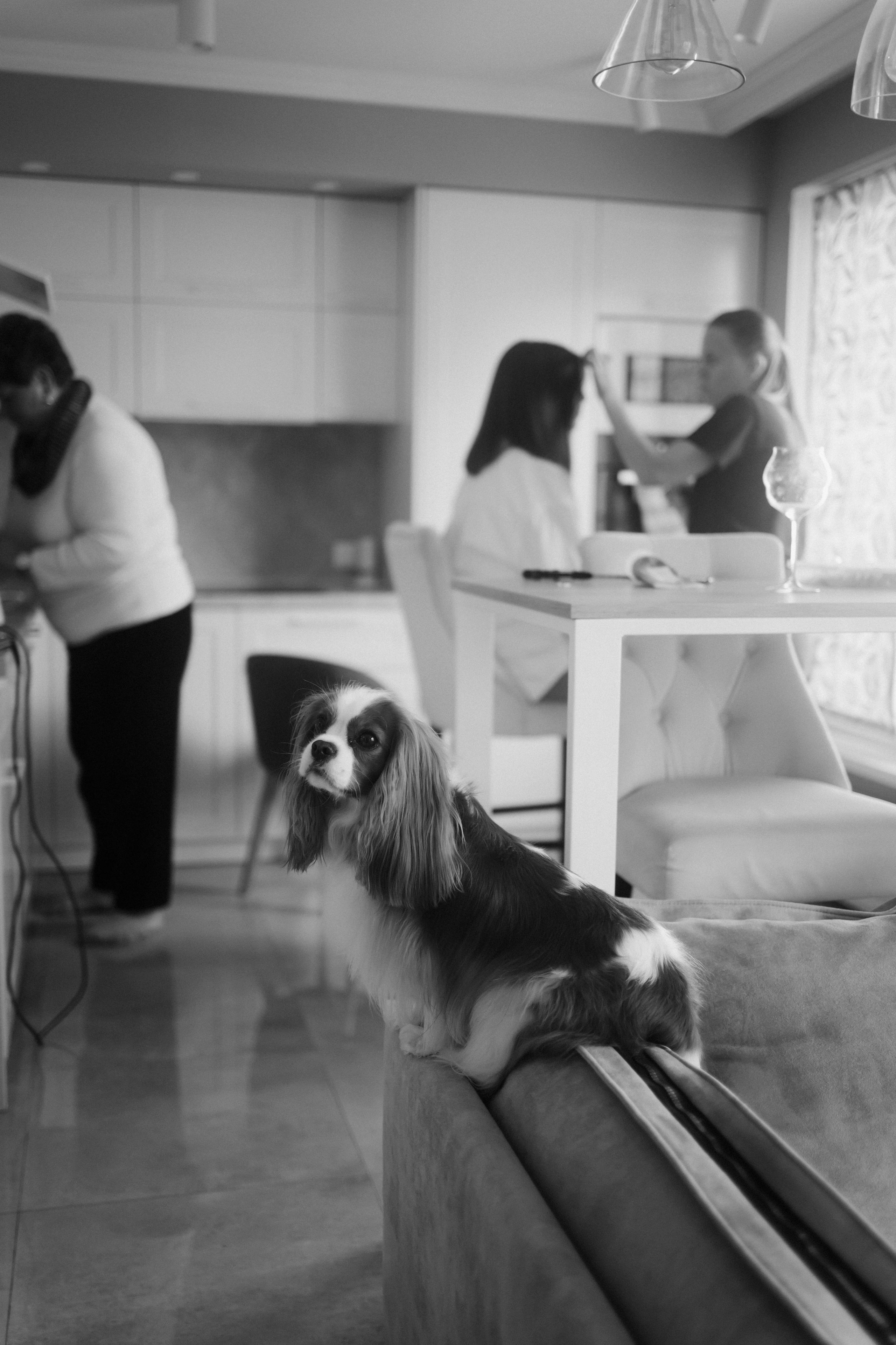 K&A. Свадебный фотограф Лиза Макатович Беларусь Минск