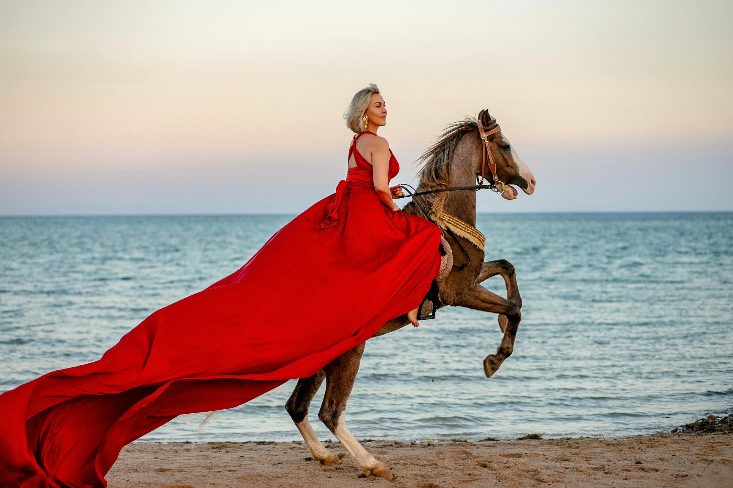 Фотосет с лошадью. Фотограф Хургада / Египет Натали Шувалова