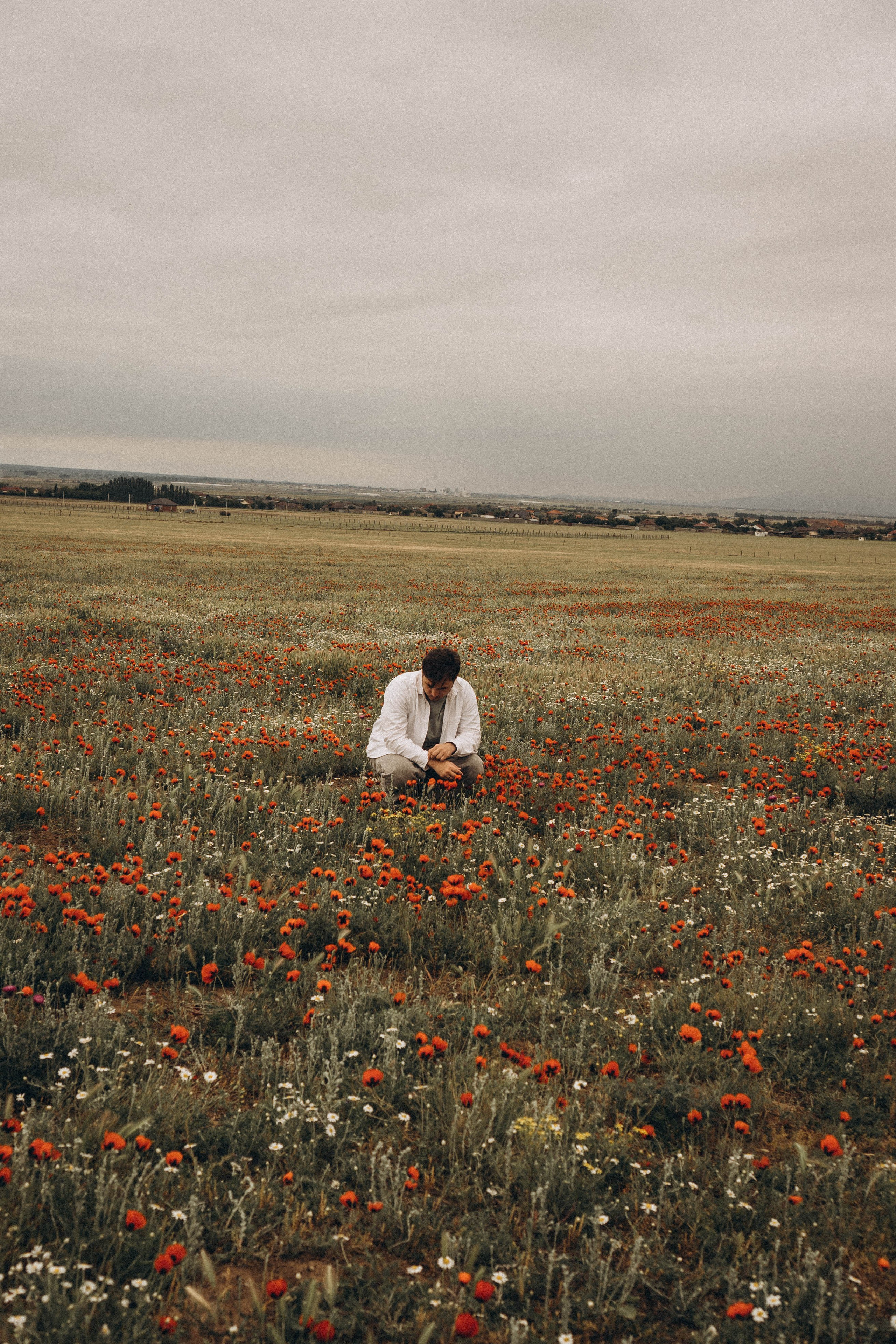 Маки. Профессиональный фотограф, Санкт-Петербург — Виктория Богомолова