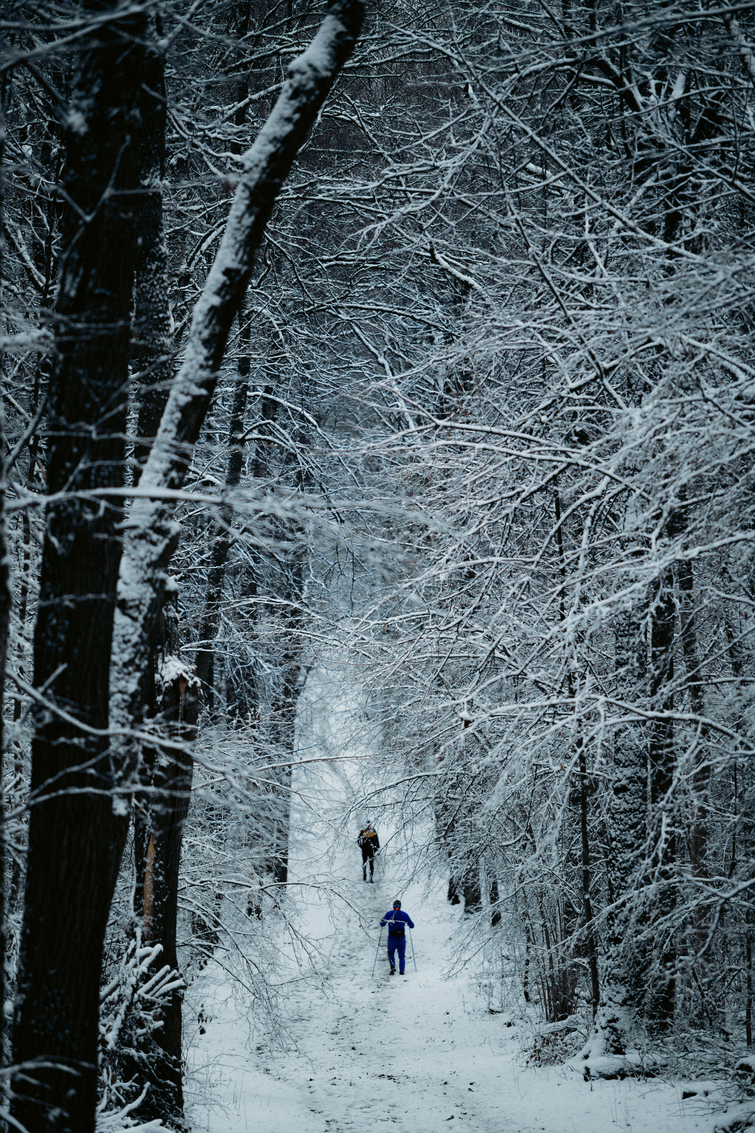 Марафон у дома_Бунино. Александра Мельниченко/ Бегающий фотограф